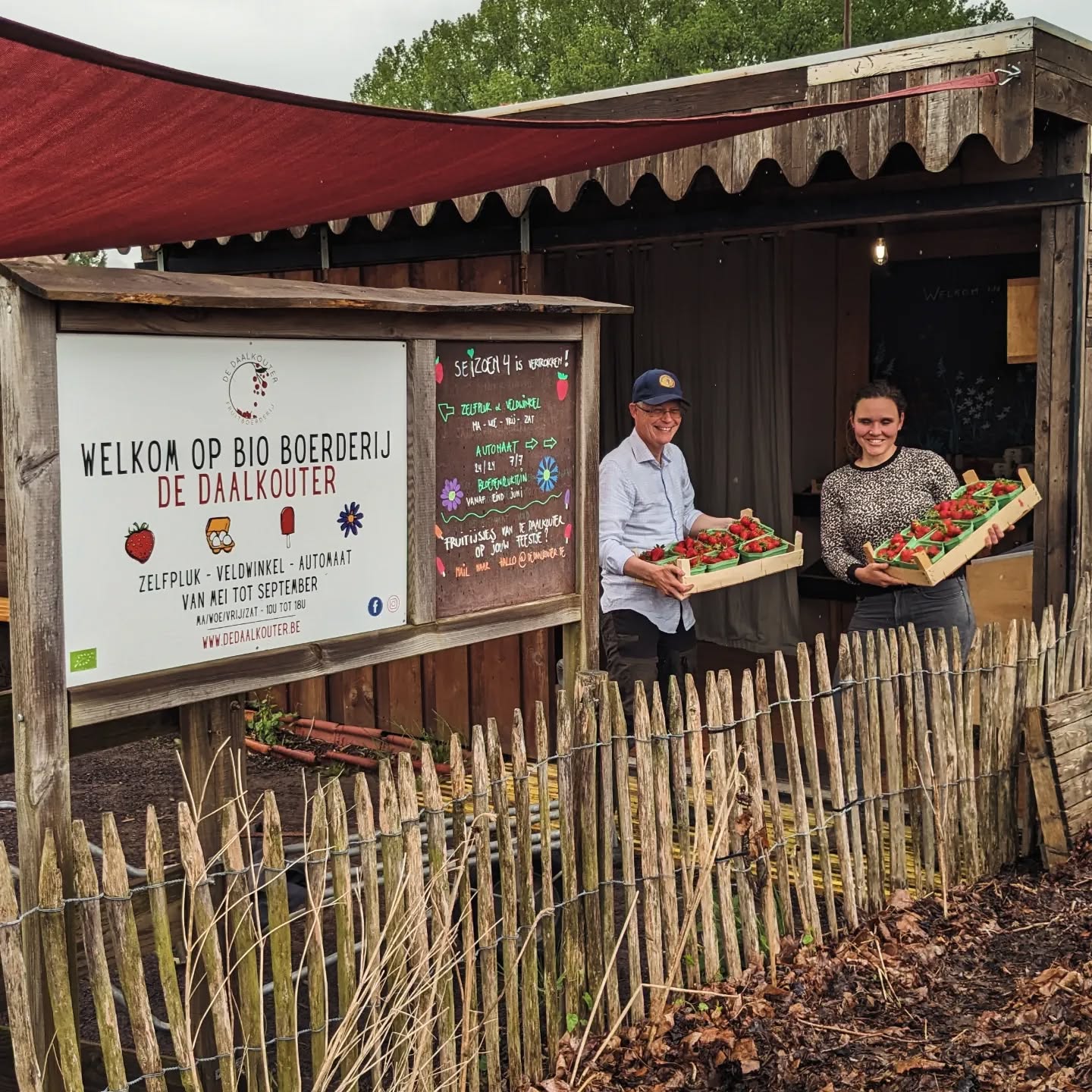 🍓🍓🍓 aardbeiseizoen 🍓🍓🍓
Ohja, 't regent, maar dat houd ons aardbeien niet tegen 💪
Vorig weekend werden de veldjes, de automaat en de veldwinkel helemaal leeg gekocht en gepluk, maar daar is nu niets meer van te merken! 🚀
Er zijn terug nieuwe, verse, mooie, rode, zoete bezen!
Tis nu de moment 👌
🍓 Zelfpluk & veldwinkel op ma/woe/vrij/zat
🍓 In de automaat 7/7 24/24
Met vandaag stagiar Yves in onze veldwinkel ✌️
Tot zo!