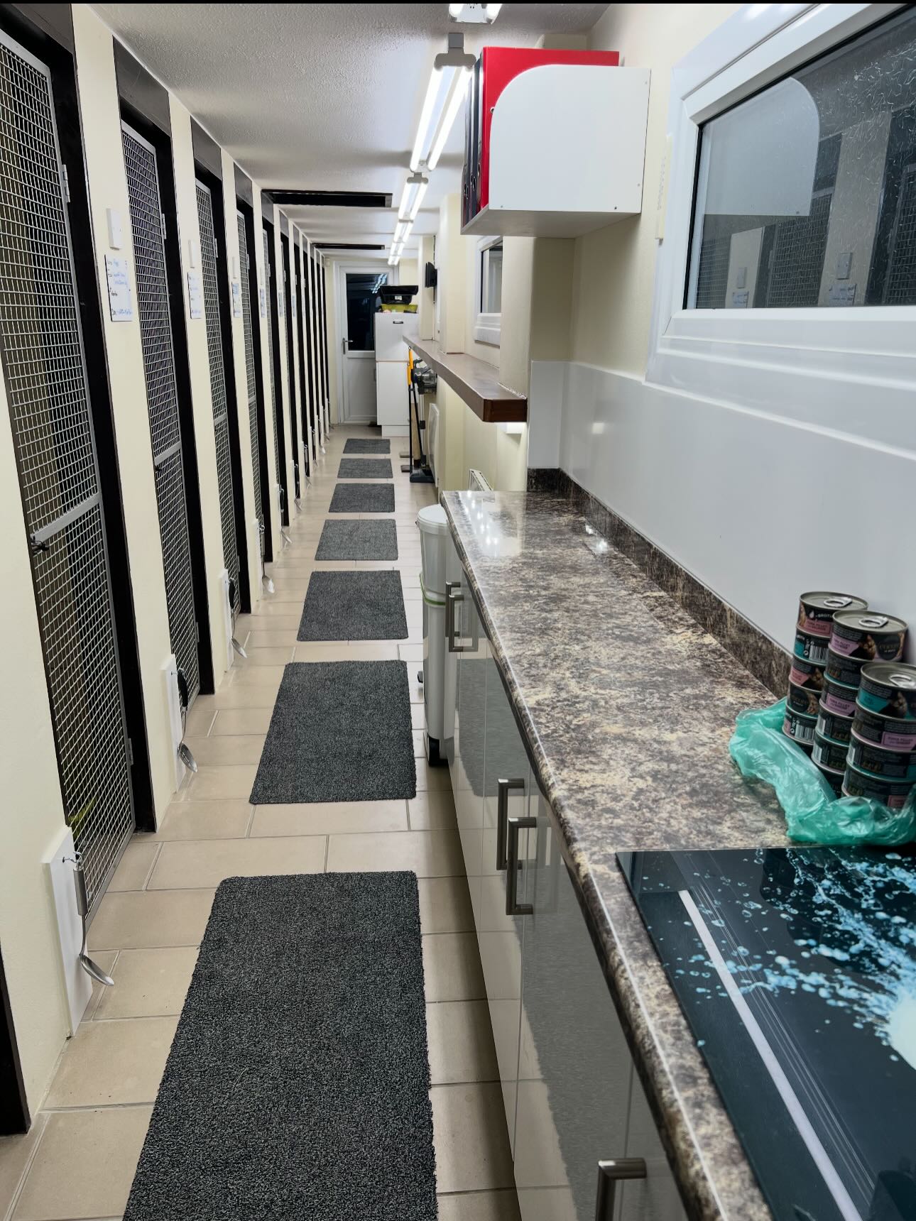 We have been very busy making some upgrades to the cattery and as you can see our boarders are loving the new upgrades! We canβt wait for you and your cats to see all of our new improvements in the Cattery π₯°