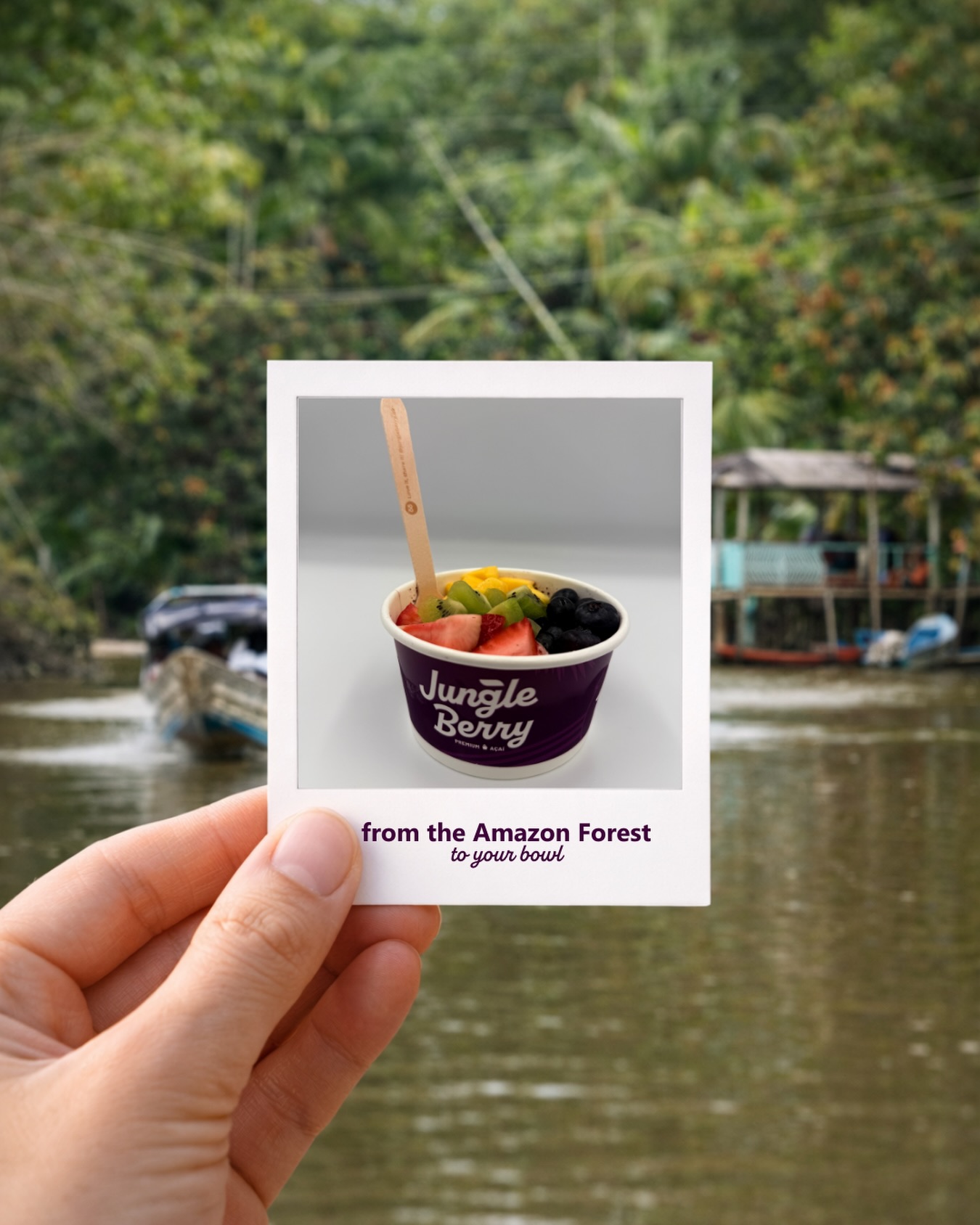 We’re proudly Brazilian - and our açaí comes straight from the heart of the Amazon.
It all begins on Ilha do Marajó, where our açaí is harvested and starts a journey of thousands of kilometres, travelling to our factory in Portugal before being distributed across Europe.
In January 2026, Brazil took a historic step by passing Law No. 15.330/2026, officially declaring açaí as the country’s national fruit. This recognition honours its Amazonian roots and protects the cultural, environmental and social heritage behind this incredible superfruit. We’re incredibly proud to bring this piece of Brazil to you.
So every time you enjoy a Jungle Berry açaí, know that it comes packed with culture, passion, Brazilian rhythm, and of course, all the natural goodness that makes açaí so special.
Share your Jungle Berry moment on your stories and tag us - let’s spread this amazing energy together.
#JungleBerry #Acai #FromTheAmazon #ProudlyBrazilian #BrazilianCulture
