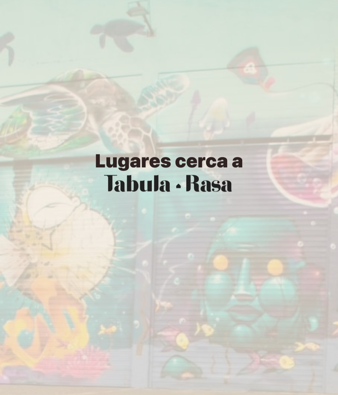 One of the best parts of living at Tabula Rasa?
Everything you need is just around the corner.
Cafés, parks, local spots, everyday essentials — all within walking distance, making daily life easier and the neighborhood feel like home. 💛
Swipe through to discover what surrounds us.
#LifeAtTabula #BogotáNeighborhood #TabulaRasaColiving
.
.
.
Una de las mejores cosas de vivir en Tabula Rasa es lo que pasa afuera de la casa.
Cafés, parques, lugares del día a día y rincones que hacen que el barrio se sienta propio.
Todo cerca, todo caminable, todo parte de la experiencia. 💛
Desliza y descubre lo que nos rodea.
#VidaEnTabula #BarrioBogotá TabulaRasaColiving