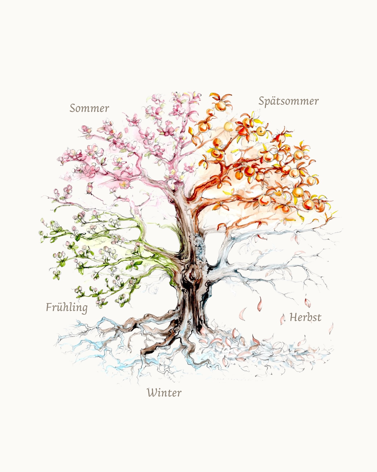Der ewige Kreis des Lebens 🌿
Alles folgt einem natürlichen Rhythmus.
Die Natur zieht sich zurück, blüht auf, trägt Früchte, lässt los – und beginnt von vorn.
Auch wir sind Teil dieses Kreises.
Das 5-Elemente-Fasten lädt dich ein, dich wieder mit diesem Zyklus zu verbinden.
Mit den fünf Wandlungsphasen der TCM – Holz, Feuer, Erde, Metall und Wasser – und der Weisheit, dass jede Jahreszeit eine eigene Qualität trägt.
🌱 Frühling – Holz
Zeit des Erwachens. Sanftes Lösen, Reinigen, Neubeginn.
☀️ Sommer – Feuer
Weite im Herzen. Leichtigkeit, Freude, milde Formen des Verzichts.
🌾 Spätsommer – Erde
Zur Mitte finden. Nährend, wärmend, stabilisierend.
🍂 Herbst – Metall
Loslassen auf allen Ebenen. Klarheit, Atem, innere Reinigung.
❄️ Winter – Wasser
Rückzug. Stille. Kraft sammeln in der Tiefe.
Besonders kraftvoll sind die Übergänge zwischen den Jahreszeiten – die sogenannten Dojo-Zeiten. Sie erinnern uns daran, innezuhalten, nachzuspüren und sanft zu entlasten.
Es geht nicht um Strenge.
Es geht um Achtsamkeit.
Nicht um Verzicht, sondern um bewusste Hinwendung.
Wenn wir beginnen, im Rhythmus der Natur zu leben, entsteht Harmonie – leise, kraftvoll und tief verbunden. ✨
Illustration: @vatastisch_
#5Elemente #TCM #BewusstLeben #Jahreskreis #InnereBalance