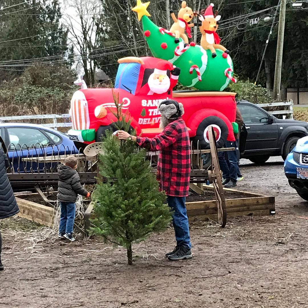 Do you have to wear plaid to visit our farm? No, but we appreciate it! 😃🎄
#fernridgetrees