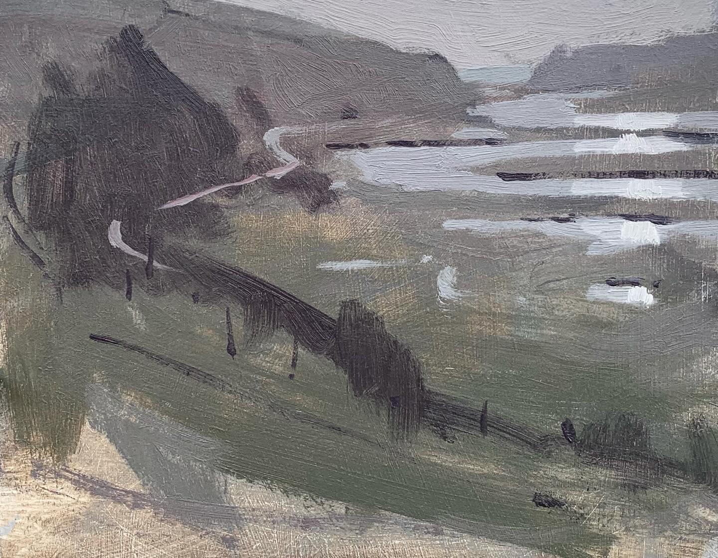 Such an iconic, over photographed and painted view but it had to be done. Accompanied by Liberace.
Cold up on the hill.
#cuckmerehaven #cuckmere #sevensisters #pleinair #oilpainting