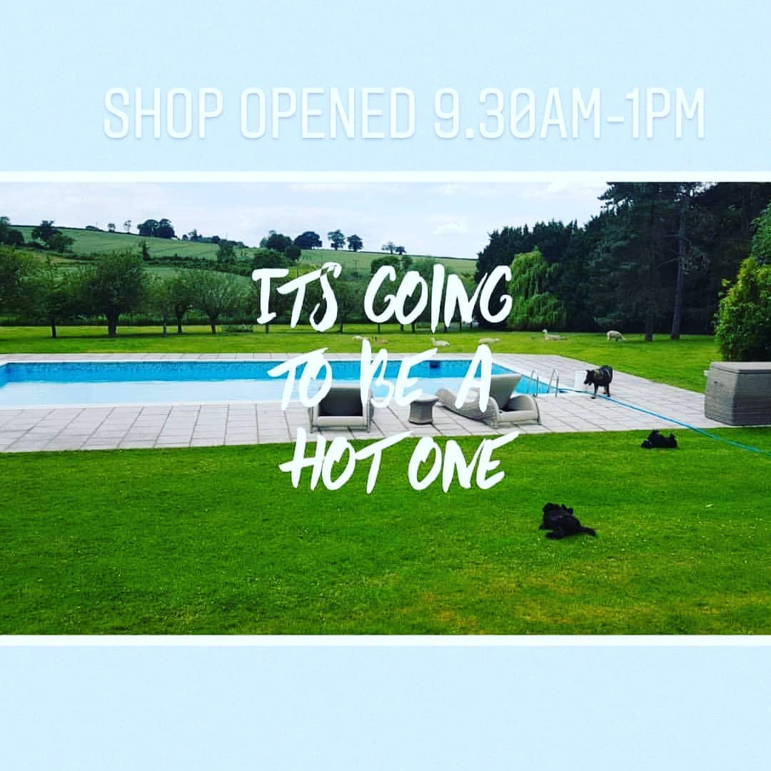 The heat is rising🌞
#swimmingpool
#customerspools
#beautifulviews
#pool
#sunny
#familyrunbusiness
#openedtoday
#chemicals
#poolsupplies