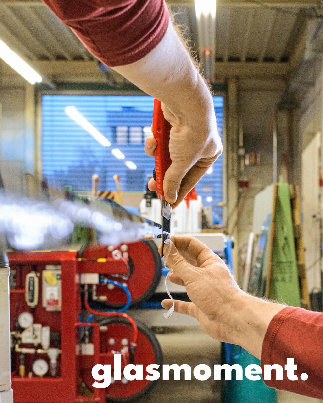 bild des tages.
#picofthedays #vsg #fypage #fy