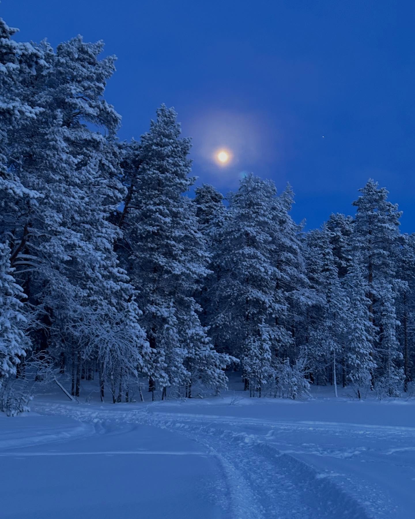 February moon, soon to be a full moon. Feeling this one strongly🌖
It’s been around -30C in Ivalo. Cold but so amazingly beautiful.