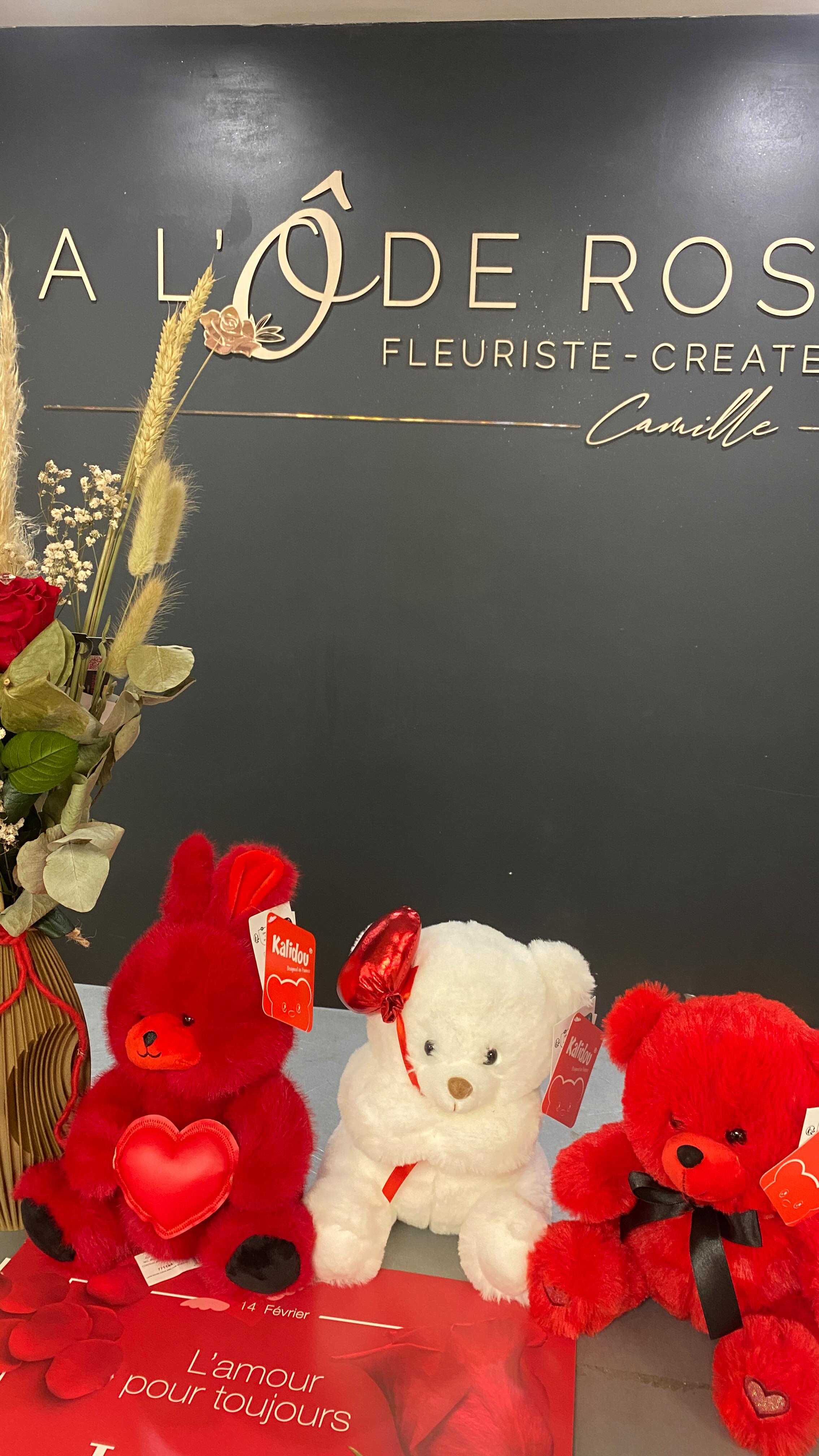 💖 La Saint-Valentin arrive chez votre fleuriste A L’Ô DE ROSE ! 💖
Ça commence dès maintenant en boutique 🥰
Avant le grand arrivage de fleurs fraîches demain et la production de nos compositions florales, on vous dévoile une première partie de notre collection Saint-Valentin 💝
🌿 Plantes
🌹 Roses éternelles
🕯️ Bougies & lanternes
🧸 Peluches trop craquantes
🛋️ Coussins & déco coup de cœur
Parfait pour surprendre, faire plaisir ou compléter un futur bouquet ❤️
🛍️ Envie d’anticiper ?
👉 Rendez-vous sur notre boutique en ligne
📞 Ou appelez directement la boutique pour réserver ou passer commande
📍 Horaires d’ouverture :
🗓️ Mercredi 11/02 : 10h – 16h
🗓️ Jeudi 12/02 : 9h – 12h / 13h – 18h30
🗓️ Vendredi 13/02 : 9h – 19h
🗓️ Samedi 14/02 : 8h – 18h
🗓️ Dimanche 15/02 : 9h – 12h
✨Nos créations en fleurs fraîches arrivent très bientôt… restez connectés 💐
#SaintValentin #FleursAloderose #IdéeCadeau #CommandeEnLigne #Amour Fleuriste DécoRomantique 💕
