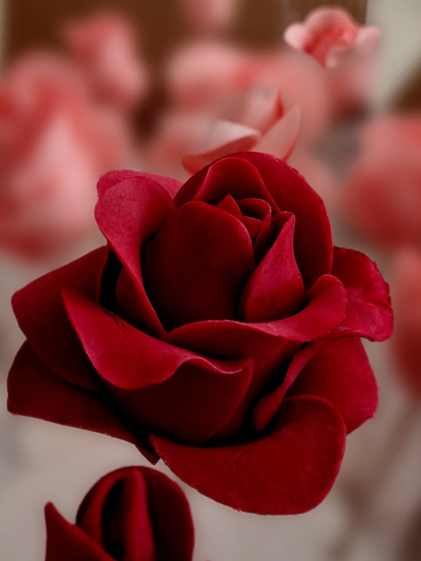 Handcrafted Gum Paste roses 💗
Beautiful color range @barco_bake. They are the BEST. ❤️
@fumpasteflowers #handcrafting #mademyday #madethistoday #cakedecorating
