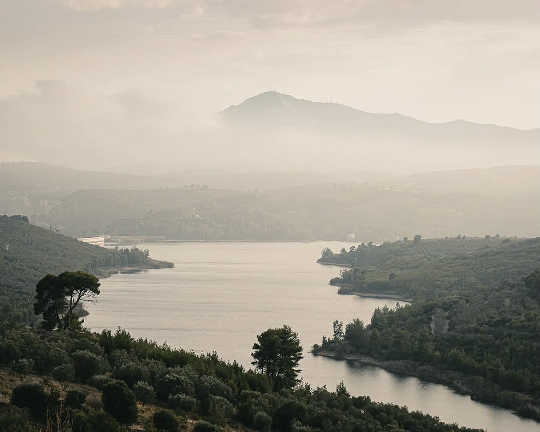 41 εκατομμύρια κυβικά μέτρα νερού! Δηλαδή αλλιώς:
🏊 16.400 ολυμπιακές πισίνες
🚿 Νερό για πάνω από 270.000 ανθρώπους για έναν ολόκληρο χρόνο
🧃 41 δισεκατομμύρια μπουκάλια του 1 λίτρου
Ναι, δισεκατομμύρια 😮
🏙️ Όγκος νερού που θα κάλυπτε όλο το κέντρο της Αθήνας με νερό ύψους ~25 εκατοστών
Τόσο τεράστια είναι η πανέμορφη λίμνη μας!
⸻
🇬🇧 41 million cubic meters of water equals:
🏊 About 16,400 Olympic-size swimming pools
🚿 Enough water for over 270,000 people for an entire year
🧃 41 billion one-liter bottles of water
🏙️ Enough to flood central Athens with roughly 25 cm of water
Amazing pic @damian_m85 #welovemarathon
.
.
.
#marathon #marathonas #greece #artificial #lake