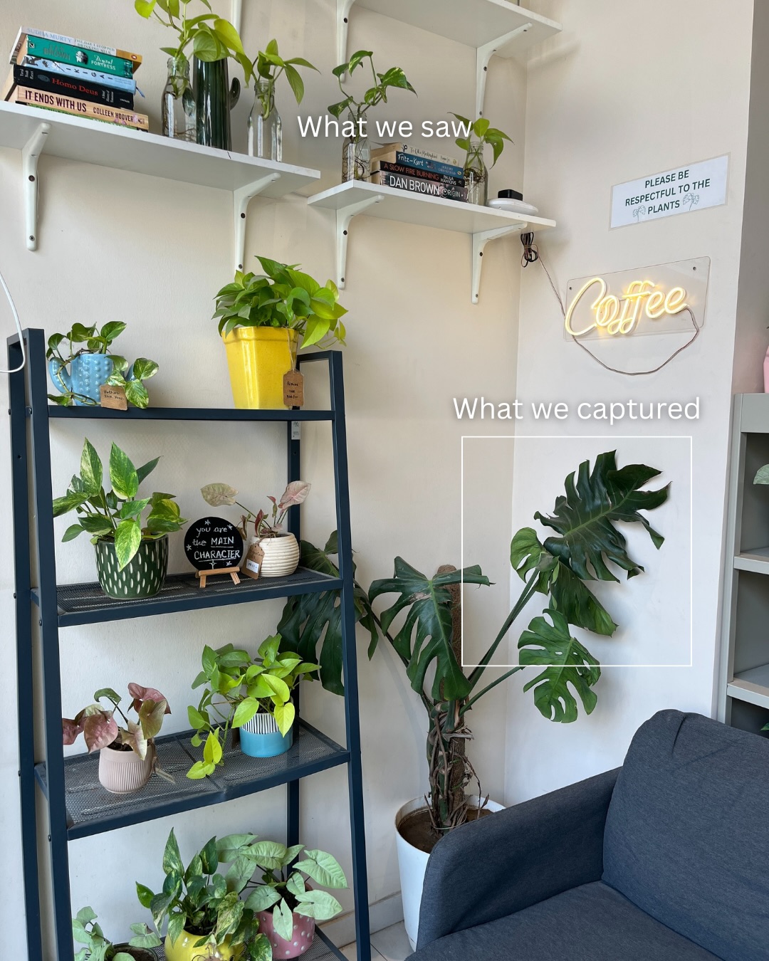 Gotta capture the aesthetics, right? 📸
.
.
.
#crazyplantladycafe #plants #asthetics #cafeinahmedabad #plantcafemagic