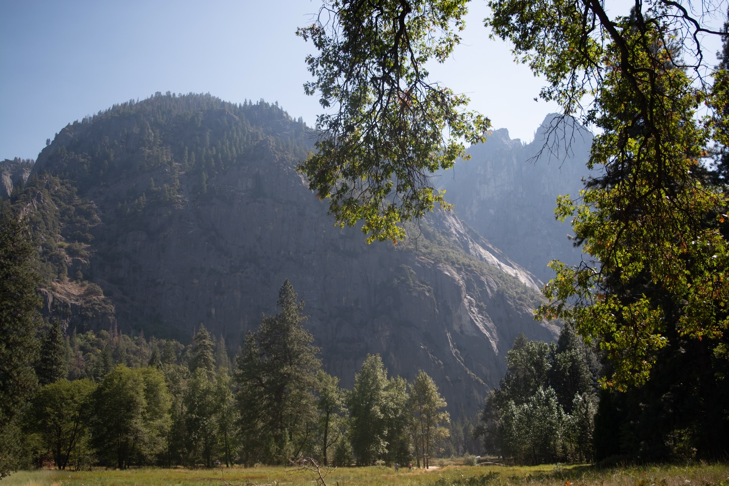 Throwback Thursday
Ik heb eigenlijk geen idee of dit nog een ding is, maar met het risico dat ik mezelf nu officieel als proud millennial neerzet, deel ik toch deze herinnering uit 2017
Ik was 27 en samen met mijn lief reisden we door de USA. Van fotografie wist ik toen nog niet heel veel, al heb ik altijd almliefde gehad voor mooie beelden en heeft er altijd al iets creatief in mij gezeten. Ik kreeg een spiegelreflexcamera mee van mijn schoon vader en één ding wist ik zeker: ik wilde niet op automatisch fotograferen.
Na een korte basisles van mijn neef 💫begon ik te oefenen. Met de natuur van Yosemite, de straten van San Francisco en natuurlijk de bijbehorende platenzaken en muziekwinkels als speelveld.
Sindsdien maak ik dit soort beelden eigenlijk altijd op reis: straatjes, gevels, details, licht en natuurlijk heel veel foto’s van de boys. Kleine stukjes verhaal die je anders misschien voorbijloopt, maar die samen een herinnering vormen.
Genieten jullie even mee van deze fijne herinnering?!
#throwbackthursday #fotografiereis #yosemite #sanfranciscostreets #beginvandeverhalen reisfotografie