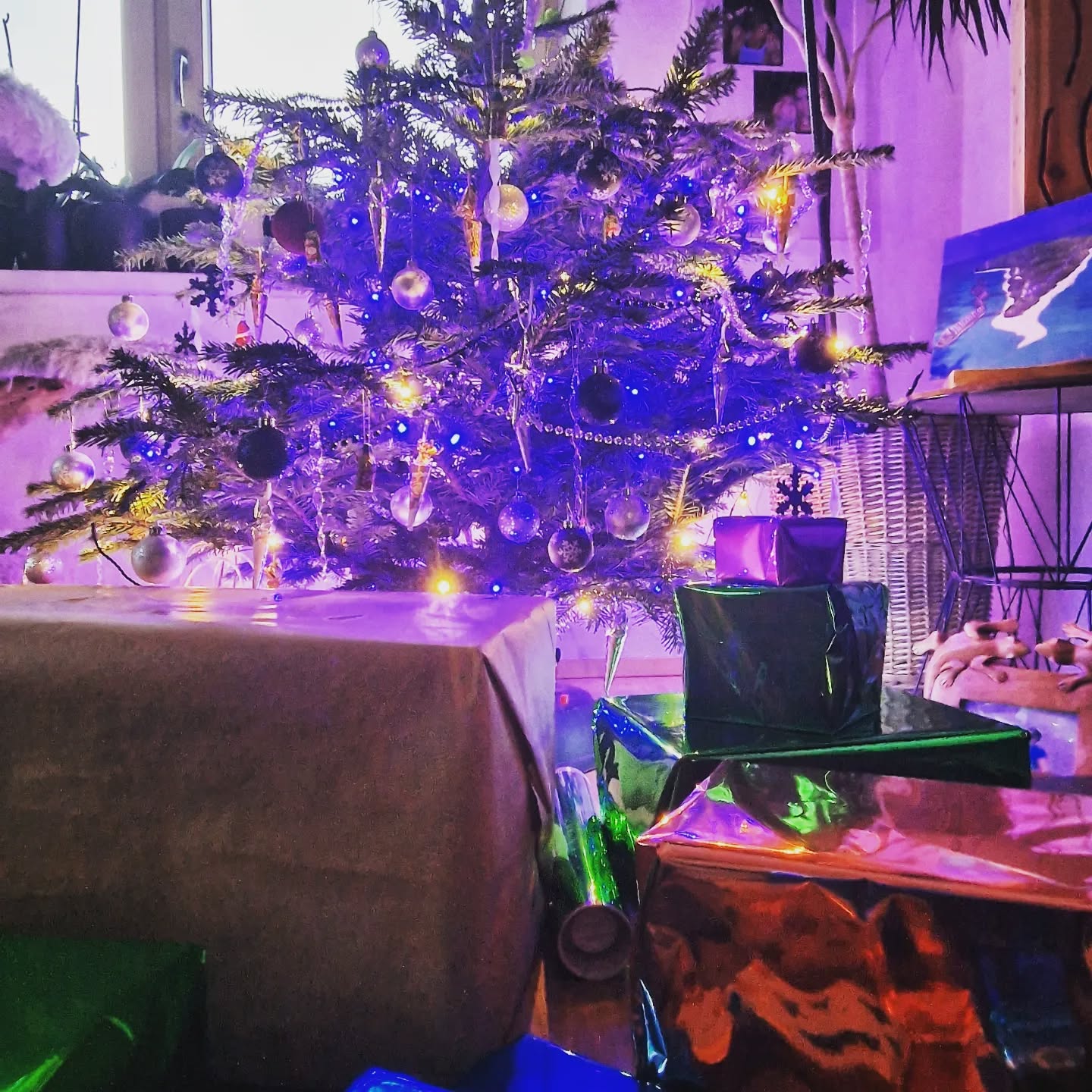 Wir wünschen allen schöne Weihnachten 🎄