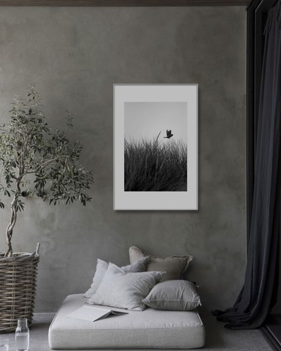 🚨 Vibe Alert!!! 🚨
New product drop - The Elongated Frame
A modern frame where the matboard is disproportioned with the top & bottom sections longer than the sides. We elongate our frames to be double the length in the top & bottom dimensions than the other sides for a very distinct refined look. Shop our premium collection of standard picture frames in all common sizes, or create your own custom sized frame
▪️
▪️
▪️
Create & Order your custom frame online🖼
Print & Frame your digital artworks/photos 📸
Customise your frame to your specs & style 📐
Free nationwide delivery order over R1500 🚚
Shop framed art prints 🖼
▪️
▪️
▪️
#photroframing #framing #minimalism #interiordecorating #interiordesign #photography #style #photostudio #art #decor #artgallery #pictureframe #imageprinting #printing