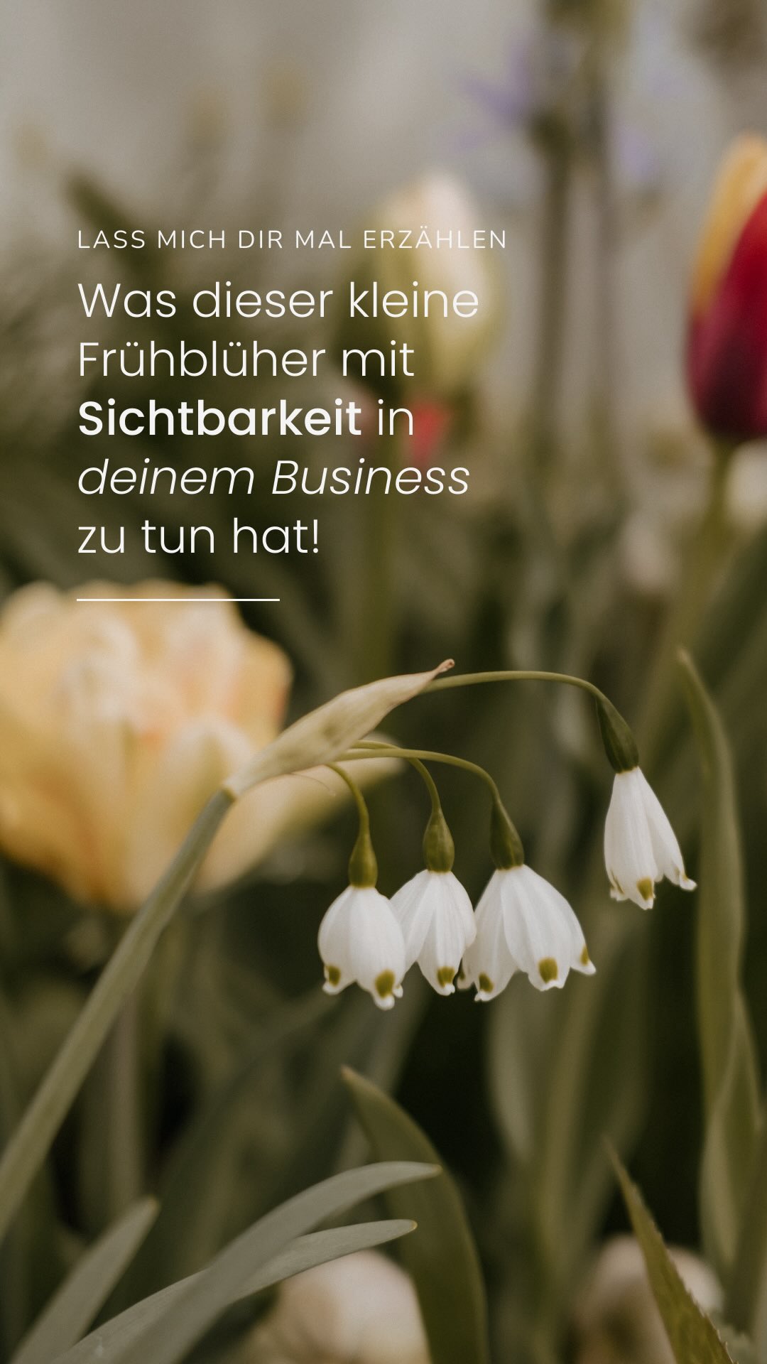 Wenn du gerade auch so eine kleine Knospe bist,
die noch ein bisschen unter der Erde steckt …
Dann ist vielleicht genau jetzt der Moment,
ein Stück weiter rauszukommen ✨
Heute war ich im Garten und habe überall diese kleinen Frühlingsboten entdeckt.
Noch ganz zart. Noch kaum sichtbar.
Wenn man sie so anschaut, würde niemand vermuten,
welche Blüte da in ein paar Wochen daraus entsteht.
Und genau daran musste ich denken.
An so viele selbstständige Frauen,
die ich in meinen Kennenlerncalls treffe.
Da gibt es so viel Können.
So viel Erfahrung.
So viel Qualität.
Aber nach außen sieht man oft nur ein kleines Stück davon 🥺
Nicht weil es nicht da ist.
Sondern weil es noch unter der Oberfläche bleibt.
Dabei ist die Kraft längst da.
Sie steckt bereits tief in euch ✨
Wie bei jeder Blüte,
die ihre Energie aus ihrem Inneren zieht.
Und erst wenn sie sich traut, ein Stück weiter aus der Erde zu wachsen, wird im Außen sichtbar, welche Schönheit eigentlich in ihr steckt 🤩
Vielleicht ist genau jetzt dieser Moment für dich.
Ein Stück mehr zeigen.
Ein Stück mehr sichtbar werden.
Ein Stück mehr von dem, was wirklich in dir steckt.
📷
Ich bin Vicky, Interior & Brand Fotografin.
Ich arbeite mit selbstständigen Frauen, die spüren,
dass viel mehr in ihnen steckt, als man bisher sieht.
Und genau dabei helfe ich:
Dass dieses Potenzial endlich sichtbar wird.