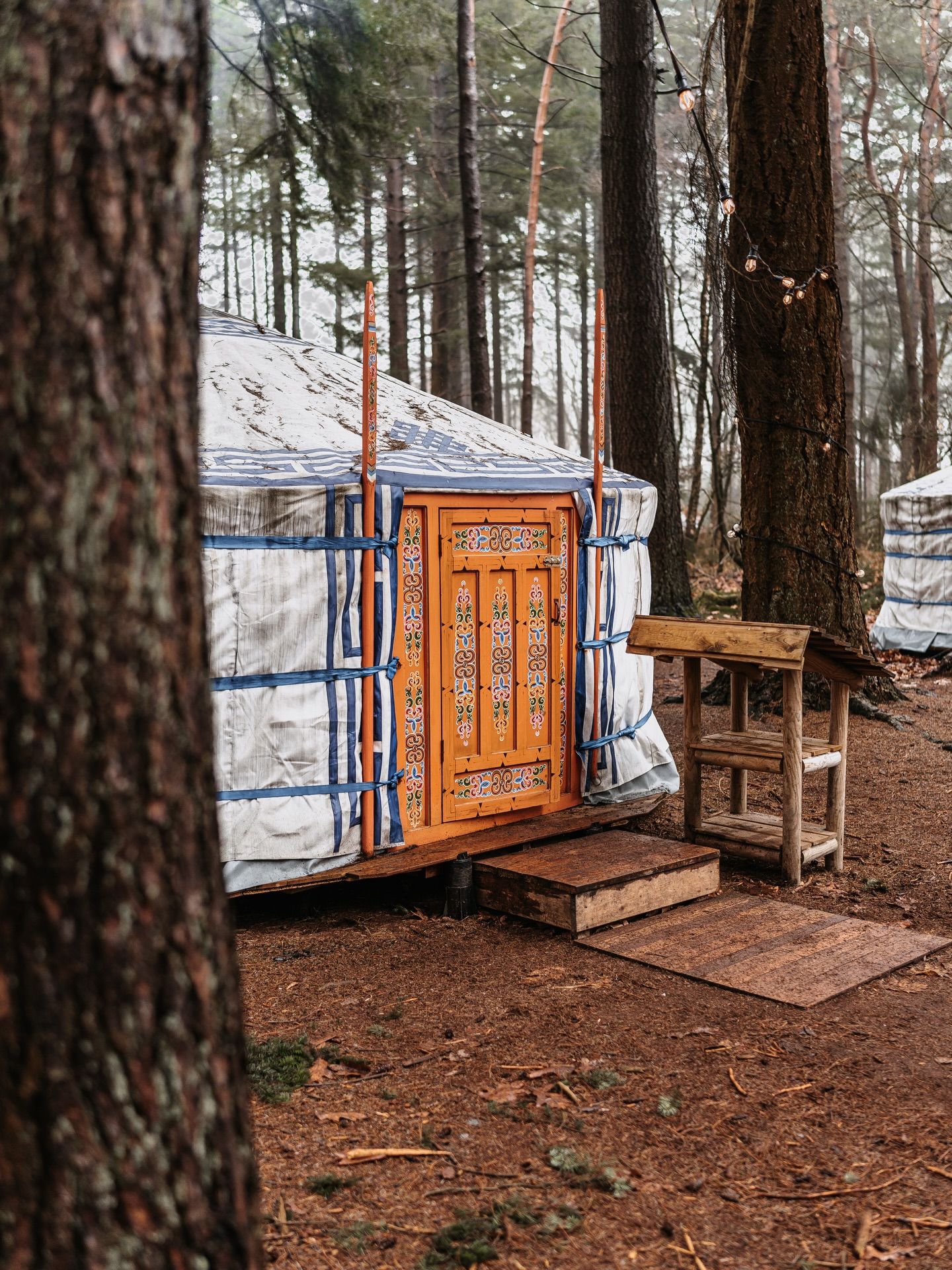 Avontuur & buiten leven, ik hou ervan!🌿🙌🏻
Afgelopen dagen verbleef ik bij @winterwoodscamping een pop-up camping met prachtige yurt en allemaal outdoor activiteiten. Even in een bubbel, ontspannen, buiten zijn, genieten. Het was heeeerlijk!🤍
Ook heb ik gemerkt dat ik het tof vind om mooie accomodaties en het buitenleven vast te leggen. Dus heb jij ergens een huisje op de Veluwe? Een hutje op de heide? Een tiny house in de bossen? Ik leg dan graag vol passie en enthousiasme jouw accomodatie en de omgeving vast!📸😍
•
•
•
#avontuur #buitenleven #tinyhousenederland #bijzonderplekje #overnachten