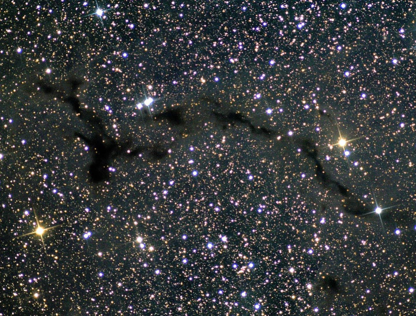 Ecco una straordinaria foto della Nebulosa oscura LDN 1082 (Barnard 150), conosciuta anche come Cavalluccio marino.
Questa nube oscura di polveri si trova nella costellazione del Cefeo, a una distanza di circa 1200 anni luce dalla Terra. Essendo situata in piena Via Lattea, la nube molecolare nasconde le stelle retrostanti e la sua forma ricorda in modo sorprendente quella di un cavalluccio marino, da cui deriva il suo suggestivo nome.
La straordinaria ripresa è stata effettuata durante le notti del 6, 7 e 10 novembre 2023, per un totale di 18 ore e 20 minuti di posa con una Pentax SDUF II (100 mm di diametro e 400 mm di focale), utilizzando la tecnica di quadricromia con una camera monocromatica ASI 1600.
-Foto del Vice Presidente Giancarlo Vignale