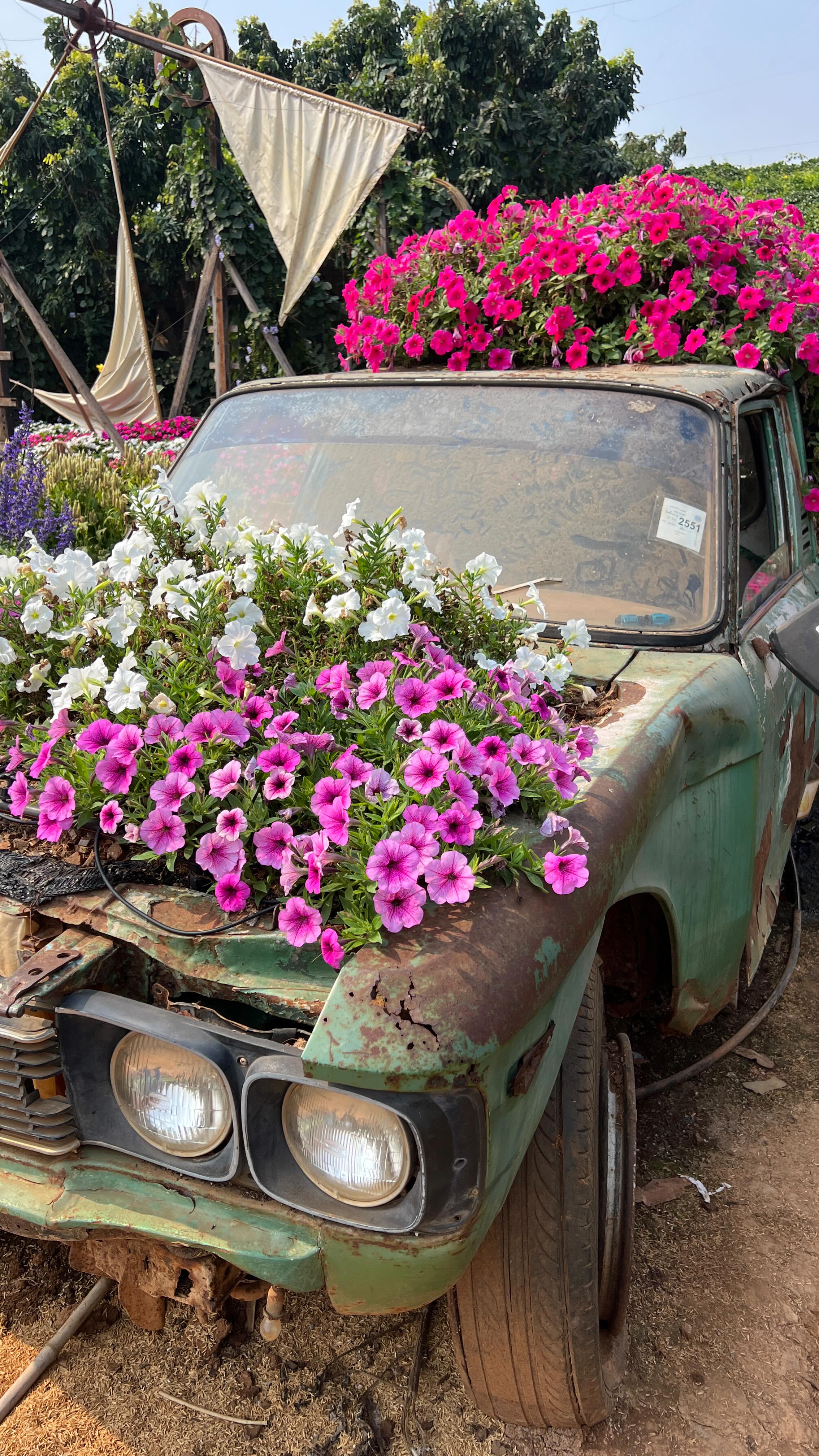 We visited a beautiful flower garden in Thailand, and it truly left us in awe.
The colours, the planning, the experience — nature at its finest.
Moments like these remind us how much potential we have in India too.
With passion, creativity, and the right efforts, our gardens can be just as magical and inspiring.
Dreaming bigger, learning more, and bringing those ideas back home. 🌸
#FlowerGardens #ThailandDiaries #GardenInspiration #BiocarveSeeds #GrowIndia