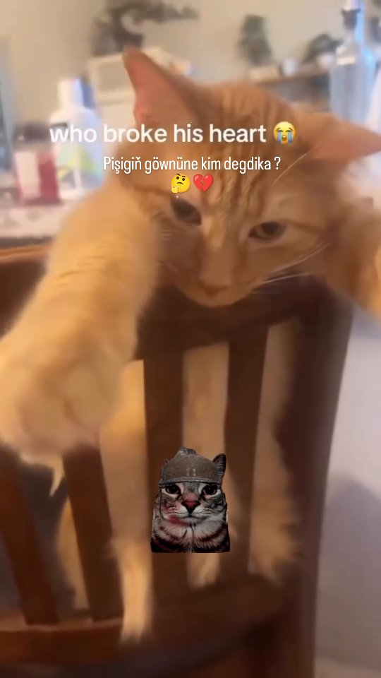 Who broke his heart 💔
#inlisdili #turkmenistan🇹🇲 #ashgabatcity❤️