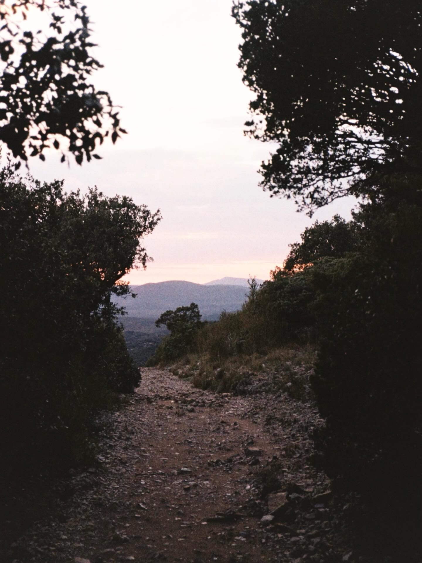 Eté 1095. Dame Renaude veut marier ses fils Loup, Guiral et Clair. Les trois frères tombent amoureux de la même femme, Irène. Indécise, elle promet son cœur à celui qui, au cours de la Croisade, se montrera le plus courageux.
Lorsque les trois chevaliers reviennent de Terre Sainte chargés de trésors, ils croisent un long convoi funèbre. Irène s’est consumée d’amour. Inconsolables, ils décident de vivre en ermites au sommet de trois montagnes après avoir donné leurs richesses.
Loup, revenu avec de la soie d’Orient et de curieuses graines, les offre à ses amis cévenols. Ils étudient minutieusement les chenilles qui en éclosent et leurs cocons.
A chaque anniversaire de la mort d’Irène, les frères allument un grand feu en sa mémoire. Les années passent et, un à un, ils cessent d’illuminer le Mont Saint-Clair, le Rocher de Saint Guiral et le Pic Saint-Loup, d’où provient cette photo.