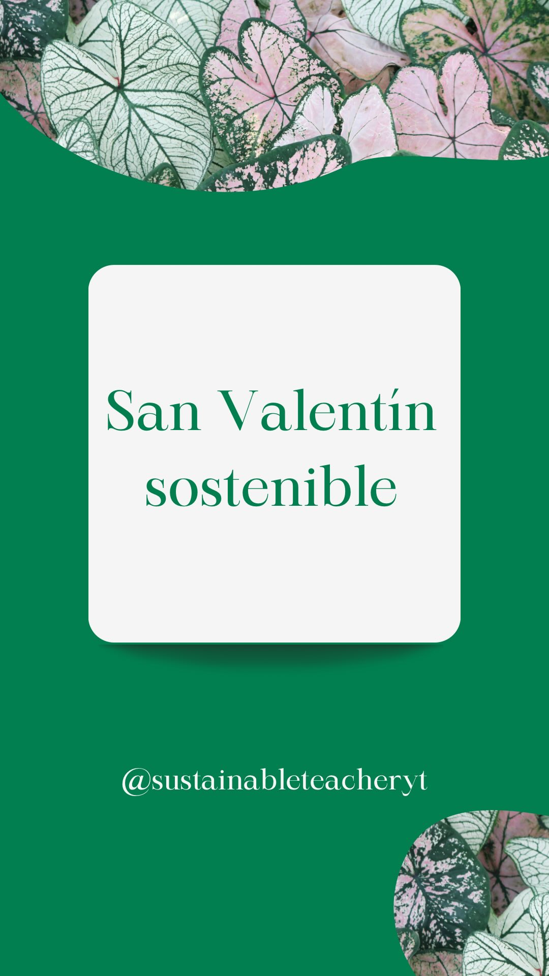 Tres ideas para un San Valentín más sostenible (y más real):
– Regalar experiencias en vez de objetos
– Elegir algo útil y duradero, no algo “por cumplir”
– Dedicar tiempo de calidad
No hace falta comprar más para demostrar más.
A veces lo más sencillo es lo que más se recuerda.
👉 ¿Eres más de experiencia, de objeto útil o de tiempo?
#sanvalentin #consumoconsciente #regalossostenibles #minimalismo #vidasostenible