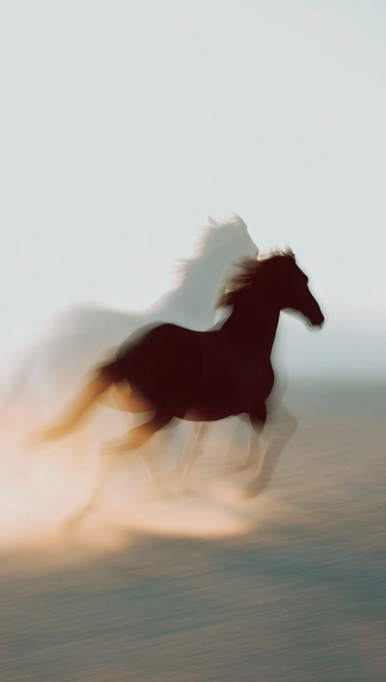 Ob‘s uns wohl tragen kann ❤️🔥😂😋
Okay aber Spaß bei Seite. Was geht denn eigentlich wirklich ab am 17.2.?
Am 17.2. endet das Jahr der Schlange und wir betreten die era des Feuerpferdes & huiii das wird intensiv.
Darum ist es auch jetzt an der Zeit nochmal tief in die Stille zu gehen, loszulassen, was dir nicht mehr dient & dich vorzubereiten für das was kommt. Denn das Jahr der Schlange stand für: Transformation, Häutung, innere Weisheit, langsame Veränderung & vll hast du das dieses Jahr auch gefühlt, dass du heftige innere Prozesse hattest, intensive Transformationen im Innen - aber im Außen eher schleppend voran gekommen bist…
so ging es mir auf jeden Fall & das alles war wichtig, denn das war & ist die Vorbereitung das was jetzt kommt.
Die Energie in 2026 wird ab jetzt so richtig kraftvoll, dynamisch voller Leidenschaft, Mut, Neuanfänge & hoher Geschwindigkeit. Es bringt tiefgreifende Veränderungen, schnelles Wachstum & starken Drang nach Freiheit, Wahrheit & Selbstverwirklichung. Prozesse, die sonst Jahre dauern, können sich in kurzer Zeit entfalten. Chancen zeigen sich oft plötzlich & wer bereit ist, kann große Schritte nach vorne machen.
& damit dich dieses hohe Tempo, diese Intensität nicht überfordert oder überwältigt & du sinnbildlich vom Feuerpferd abgeschüttelt wirst oder vollgas in die falsche Richtung los gallopierst, ist jetzt die Zeit für Rückzug & innere Klarheit.
Wenn du dich mit mir gemeinsam vorbereiten willst, dann lad ich dich ein zu meinem Online Soulful Sunday Ritual diesen Sonntag, den 15.2. um 10 Uhr morgens um dich auf den heftigen Energy Shift vorzubereiten ✨ (Link in Bio)
Ansonsten hier zwei Impulse für dich wie du dich selbst Ready machen kannst.
Herz über Kopf Ritual🫀
Überprüfe mit deinem Herz, was deiner Wahrheit entspricht. Schreibe auf verschiedene Zettel Projekte, Menschen, Tätigkeiten, etc & halte sie vor dein Herz & spüre öffnet sich dein Herz oder schließt es sich? so kommunizierst du mit deinem Herzen & spürst was es Zeit ist loszulassen.
Journaling Fragen: in den Kommentaren 👇🏽
Post inspired by @silvana.maria.concilio ❤️🔥