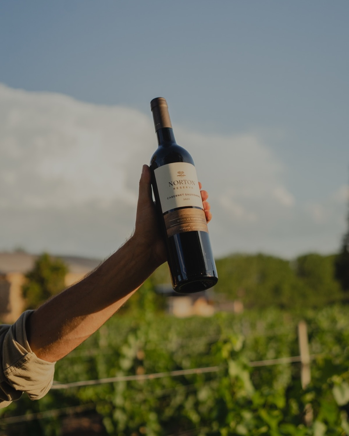 Een goede steak verdient een goede wijn. 🍷
De Cabernet Reserva van Bodega Norton is de perfecte begeleider bij onze Argentijnse klassiekers. Vol, krachtig en mooi in balans ideaal bij een bife de cuadril, met zijn rijke vleessmaak en stevige bite, of bij een bife de lomo, onze malse ossenhaas die bekend staat om zijn zachte structuur en verfijnde smaak.
Laat je adviseren door ons team en ontdek jouw perfecte wijn & spijs combinatie!
#gauchos #bodeganorton #cabernetsauvignon #argentinianbeef #steakandwine