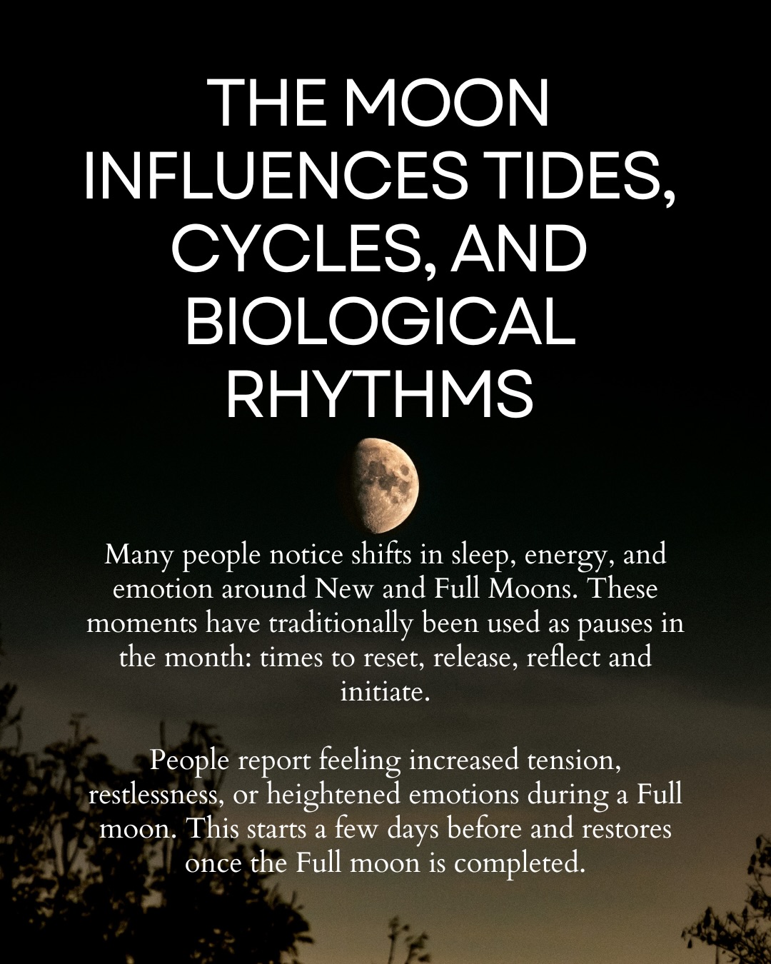 New Moon Sound Healing - Aquarius at @embassyofthefreemind
Surrender into a Sound Journey during the New Moon in Aquarius:
This New Moon coincides with a Solar Eclipse in Aquarius, a symbolic pause in the lunar cycle associated with reflection and reorientation. The session invites spacious listening, mental clarity, and the release of outdated patterns through sound, silence, and shared presence.
Experience a monthly sound journey aligned with the New or Full Moon. Each session works with carefully chosen instruments, materials—wood, metal, stone, water— and rituals matched to the lunar cycle and zodiac symbolism as a framework for reflection.
These sessions offer space to slow down, listen deeply, and reconnect through sound, rhythm, and rest.
A Sound Bath gently shifts your brainwaves from active Beta/Gamma states into deep Theta/Delta states of relaxation, helping body and mind release tension, stress, and emotional blockages. Because our bodies are mostly water, sound vibrations move easily through us, supporting self-healing and restoring balance.
Benefits include:
• Deep rest and relaxation
• Reduced stress and pain
• Greater clarity and intuition
We begin with a short meditation and ritual, and close with space to reflect. Please wear warm, comfortable clothing and bring your own mat, blankets, or cushions.
Details:
18 February 19:30-21:00
Keizersgracht 123 Amsterdam
Price: 25 euro
Tickets via link in bio
#NewMoon #FullMoon #SoundJourney #soundbath #Amsterdam