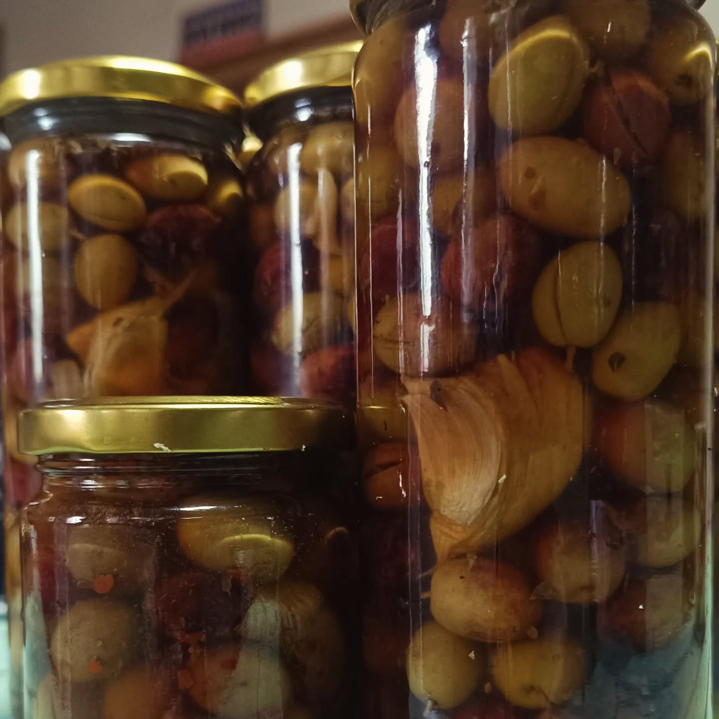 🇺🇸 The first olives from our land by Nabão river are ready!
🇵🇹 As primeiras azeitonas já prontas do nosso terreno do Rio Nabão!