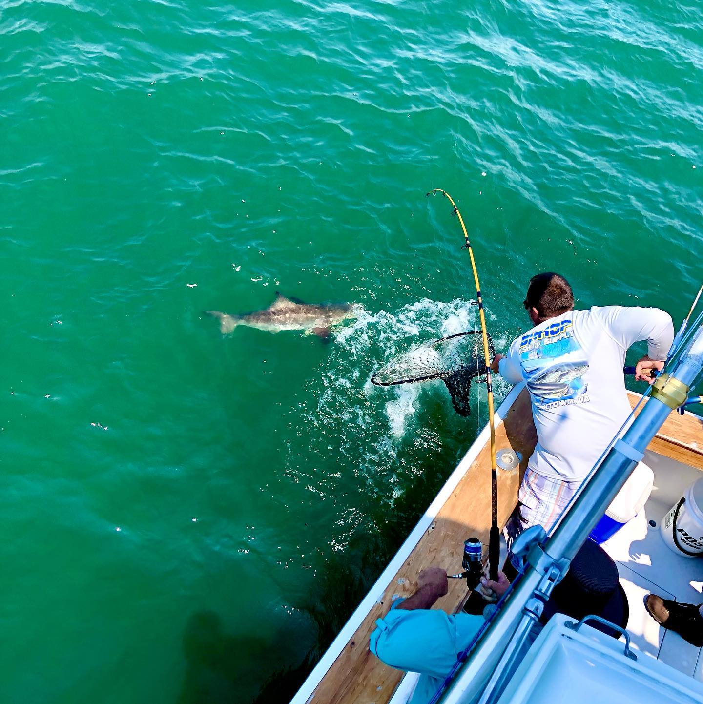 Missing these days, come on June!
#havoccharters #sportfishing #cobia #vabeach #fishingcharter #fishingguide #virginiabeach #virginiaisforlovers #theporch #sportfish #charter #chesapeakebay