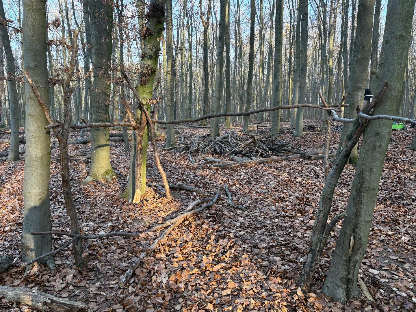 Im Wald wurde das alte Tipi abgerissen und in seine Bestandteile zerlegt. Daraus und noch aus weiterem Holz wird ein neuer vierwändiger Unterschlupf Stück für Stück entstehen. Alle Kinder packen mit an und so wird es bestimmt nicht lange dauern, bis hier etwas Neues entsteht.