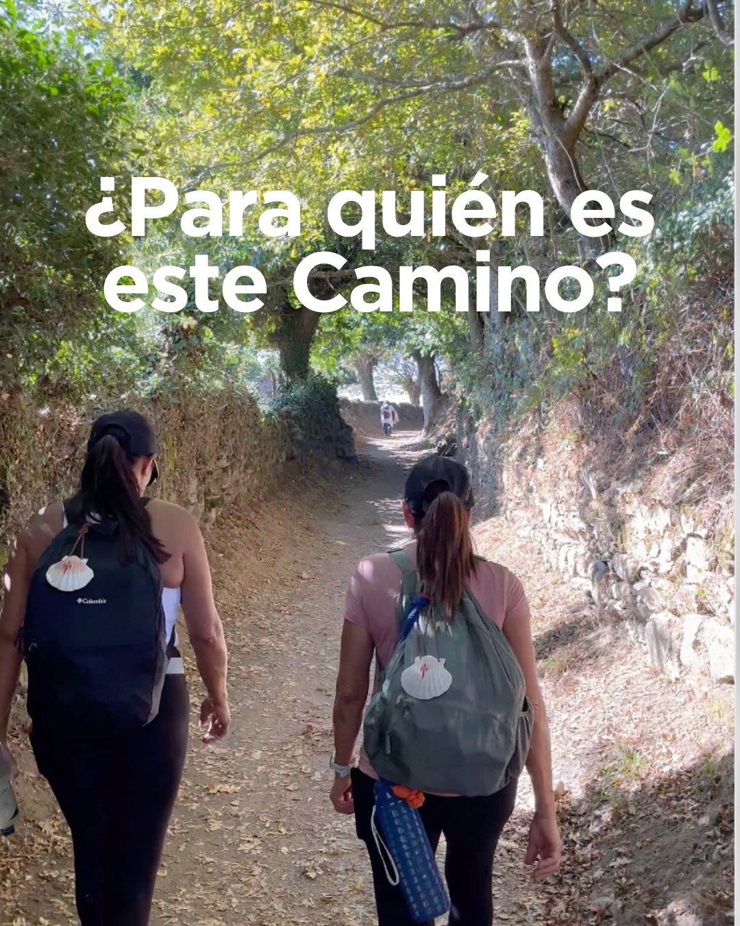 Este Camino es…
Para quien quiere viajar con propósito.
No solo conocer lugares, sino sentirse diferente al volver.
Para quien quiere caminar…
pero acompañado.
Saber que no va solo en el proceso.
Para quien necesita una pausa real.
Desconectar del ruido y reconectar consigo.
Para quien quiere vivir la experiencia completa
sin sufrir con mochilas pesadas ni albergues improvisados.
Para quien siente que algo dentro le está diciendo
“es momento”.
Este grupo es pequeño e intencional.
No es turismo masivo.
Es una experiencia vivida con presencia.
🤍 Si te identificaste con algo de esto, escríbeme CAMINO y te envío toda la información.
#CaminoDeSantiago
#ViajarConPropósito
#ExperienciasConSentido
#ViajesEnGrupo
#ViajesDesdeCostaRica
TicosPorElMundo
ViajesQueTransforman
CaminarEsSanar
ViajesConAlma