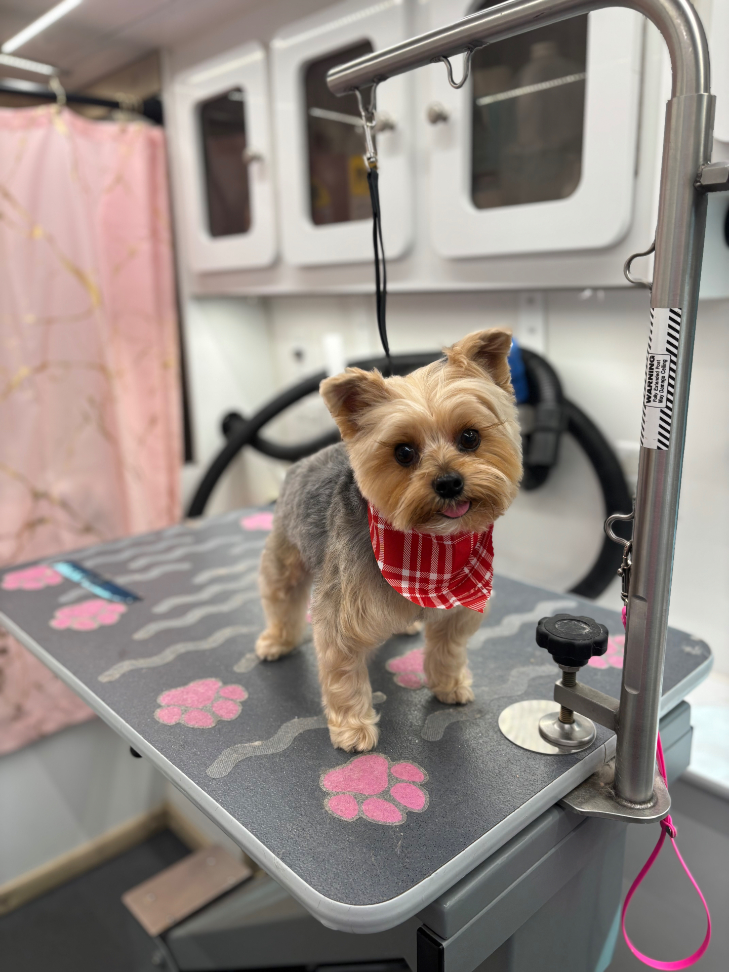 Fendi has his “TGIF” face on😋🤍