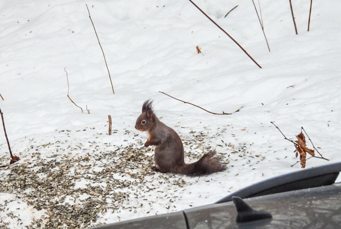 📷 Gabriella Toldi @toldi.gabriella