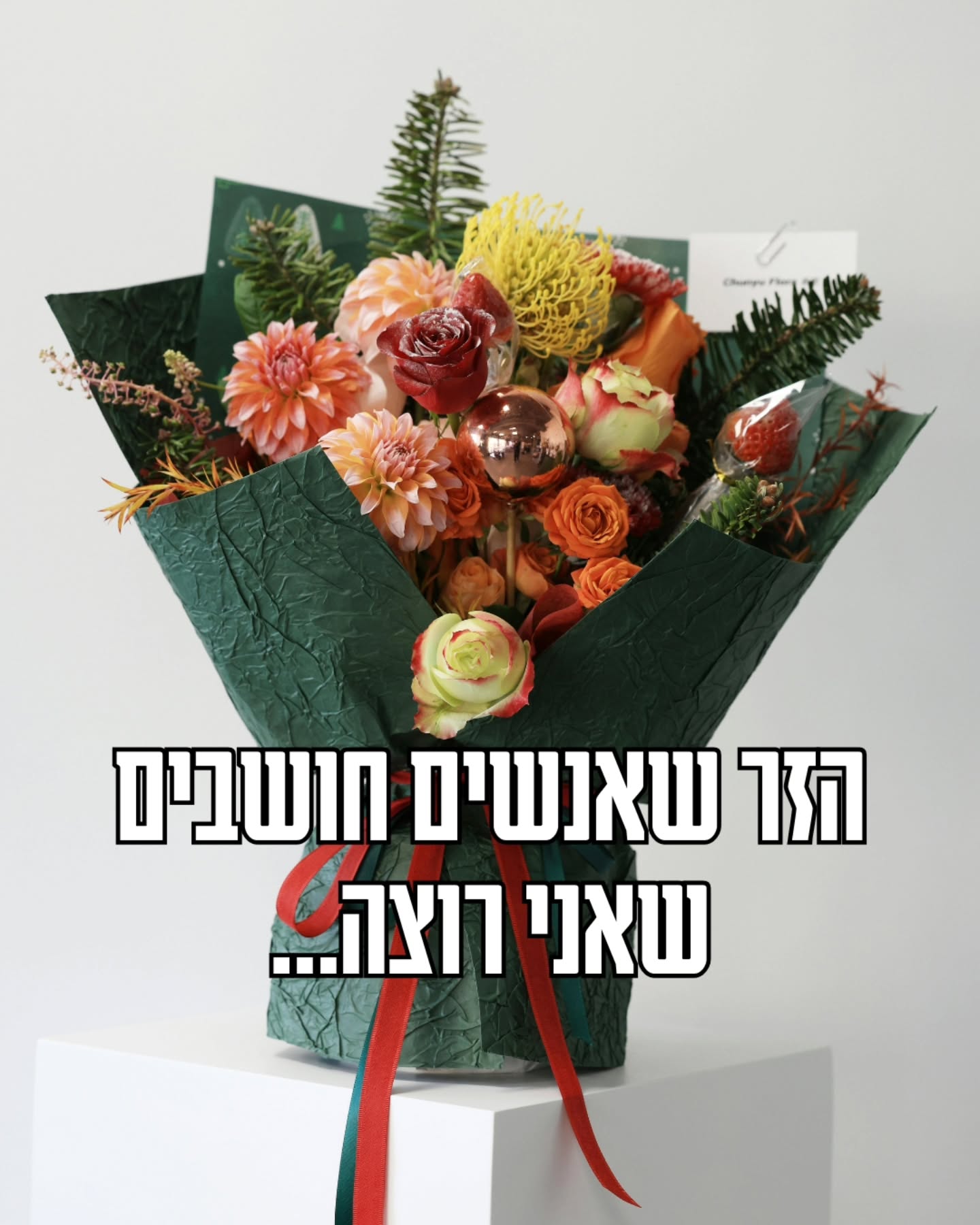 מוגש כהצעת הגשה לכל המחפשים מתנה מקורית למתולתלת 😉