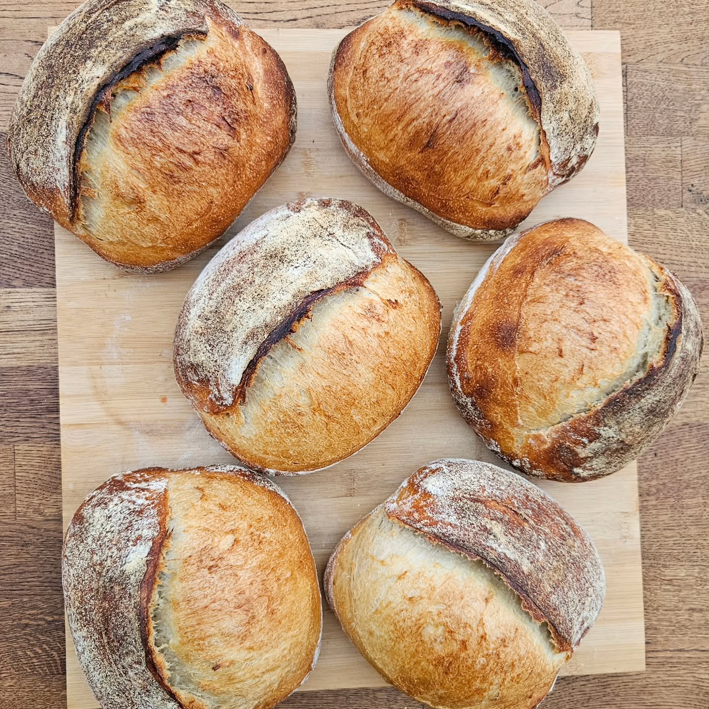 Sometimes life happens… and an order gets forgotten. And sometimes that same customer gets lucky :) fresh sourdough, no cold proof, baked the very same day.
Different colours. Different character. Same honest bread. 🥖✨
#bakedbythevarga #sourdough #artisanbread #freshbaked #realbread