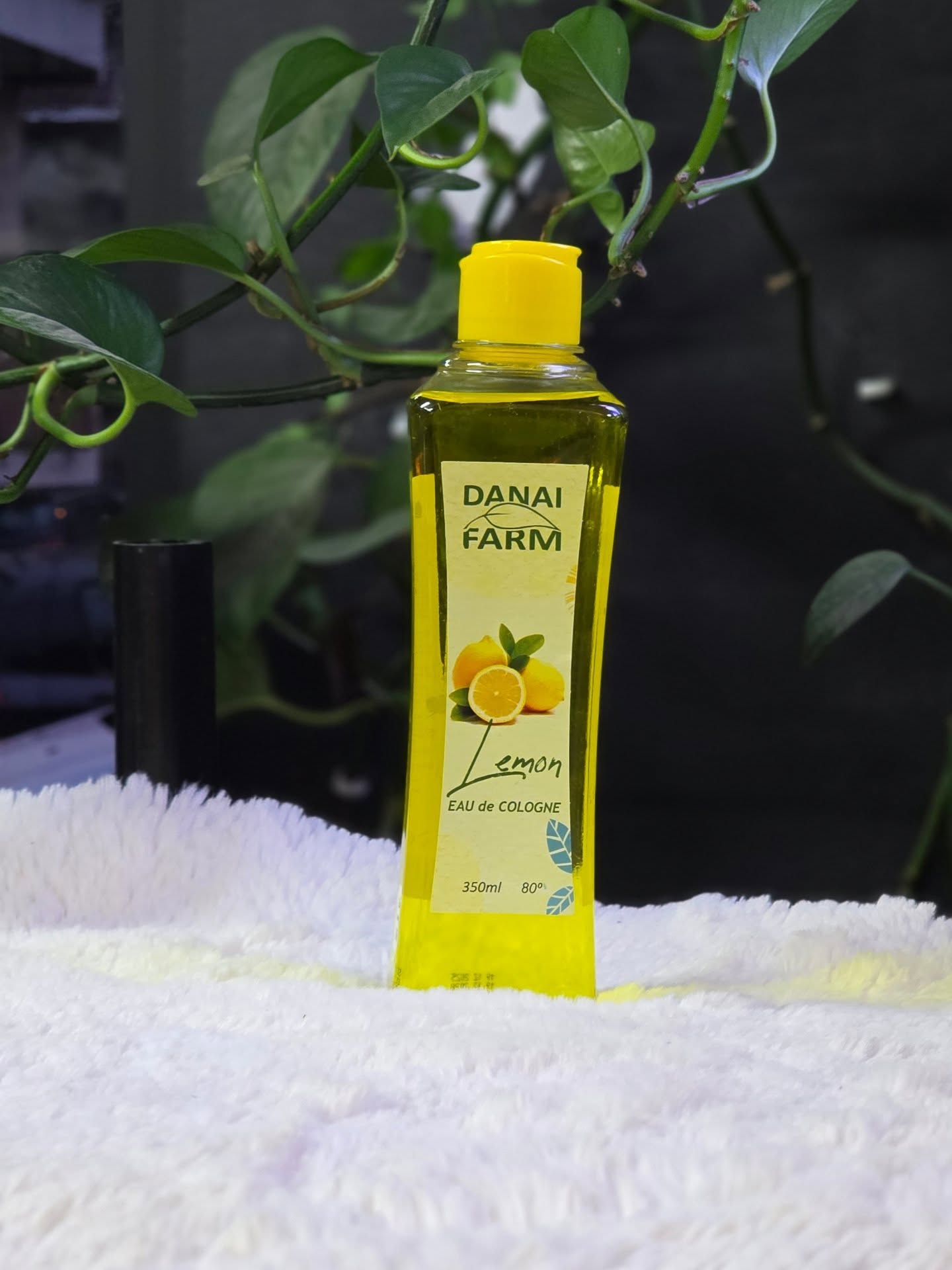 Këto dhe shumë produkte të tjera rreth fushës së berberave, i gjeni në dyqanin tonë BerberAlb.
🚚Ofrojmë transport në të gjithë Shqipërinë
Porosit online në: www.berberalb.com
Kontakt:
📲: 068 81 91 950
📥: Porosit online, porosit sigurt tek #berberalb #Berber #Berberalb