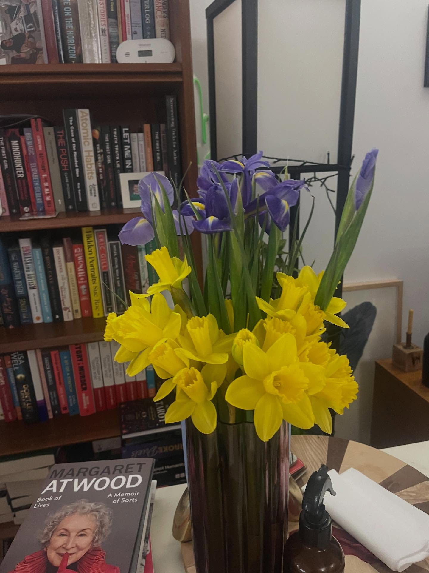 Daffodil season takes me by surprise every year, the sign of hope after we’ve packed away Christmas and are staring down the bleak months of winter. Today is Imbolc, which means we’ve made it to the halfway point. It’s still bright at 5pm almost now. The wild daffs will be up soon and the snowdrops already are. Keep going. #imbolc #celtic #witchofinstagram #witchstagram