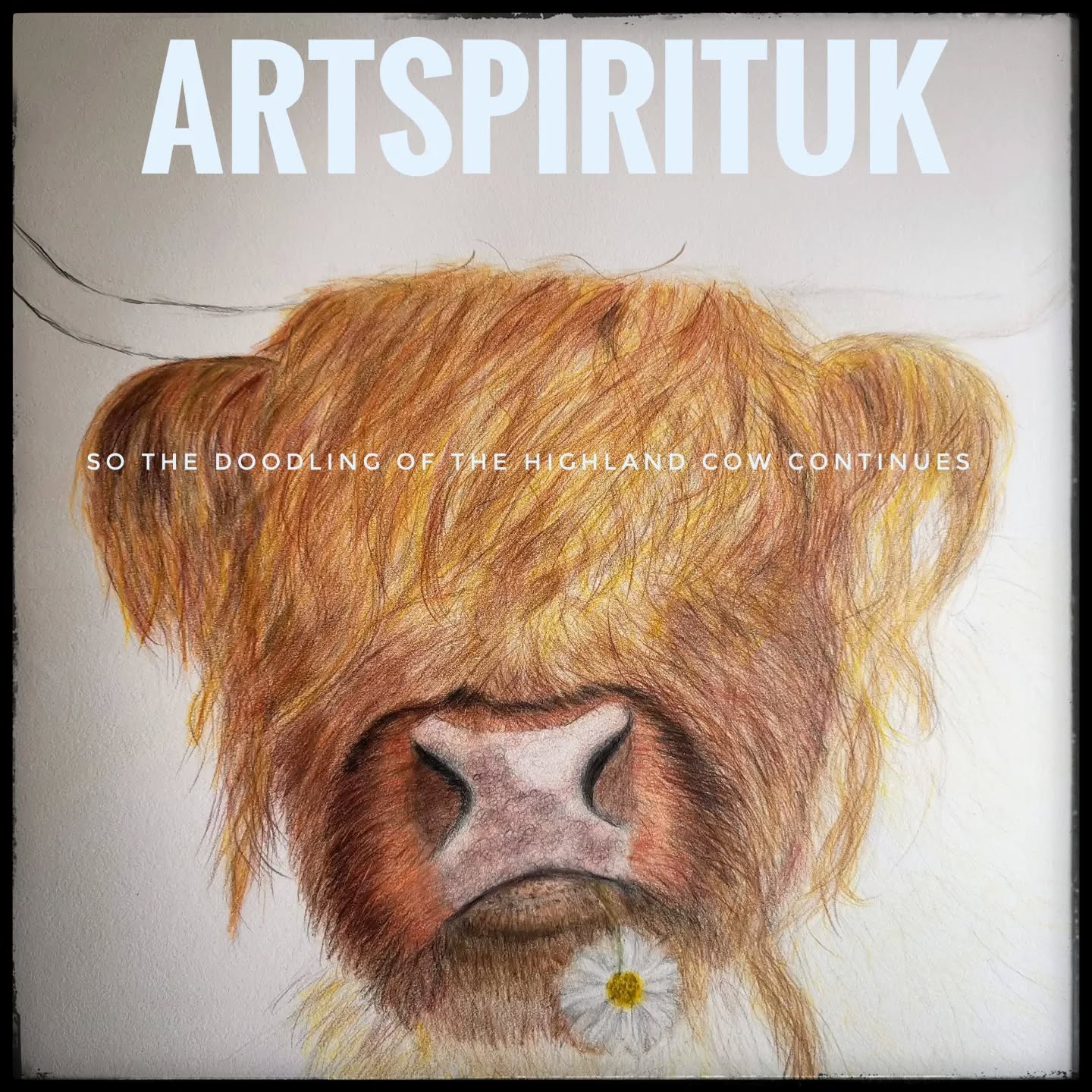 So I continue to doodle this Highland cow with colour pencils. It is a bit more relaxed and free drawing. #art #highlandcowart #colourpencils #drawingoninstagram #artgallerys