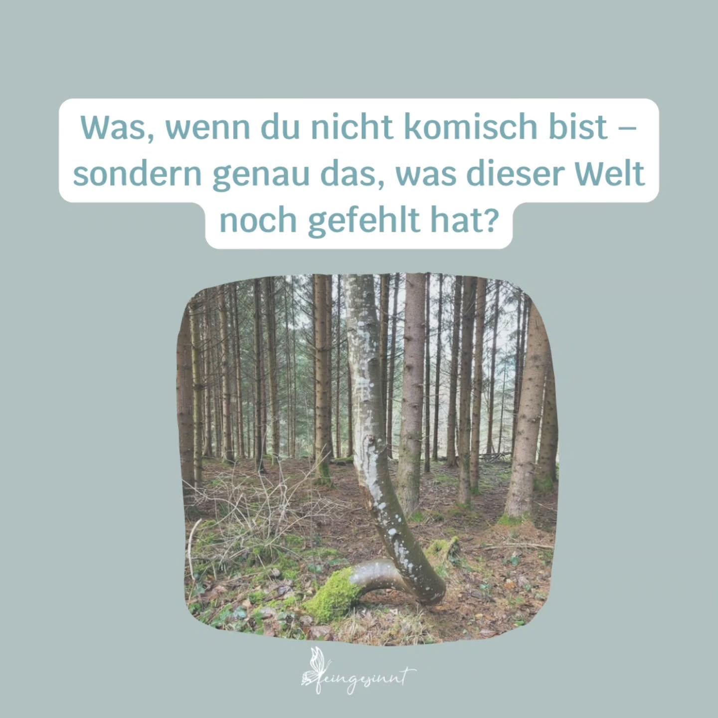 Als HSP fühlst du dich wohl schom immer anders oder komisch. Das ist verständlich und normal - denn die Mehrheit der Menschen ist durchschnittlich sensibel.
Aber hast du schon mal daran gedacht, das es genau das - genau dich - braucht?
Du bist nicht grundlos hier. Die Welt braucht dich. Die Welt braucht mehr Sensibilität.
Folge mir für mehr Content zum Thema Hochsensibilität. Schenke mir ein Herz 💗. Und schau in meiner Bio meine Angebote an☝🏻.
Herzlich, Jacky 🦋
#hochsensibilität #hochsensibel #hsp #sensibel #neurodivergent
COACHING
BERATUNG
HOCHSENSIBILITÄT
EMOTIONSREGULATION
STRESSREGULATION
ABGRENZUNG
POTENTIAL
SELBSTVERTRAUEN
MINDSET