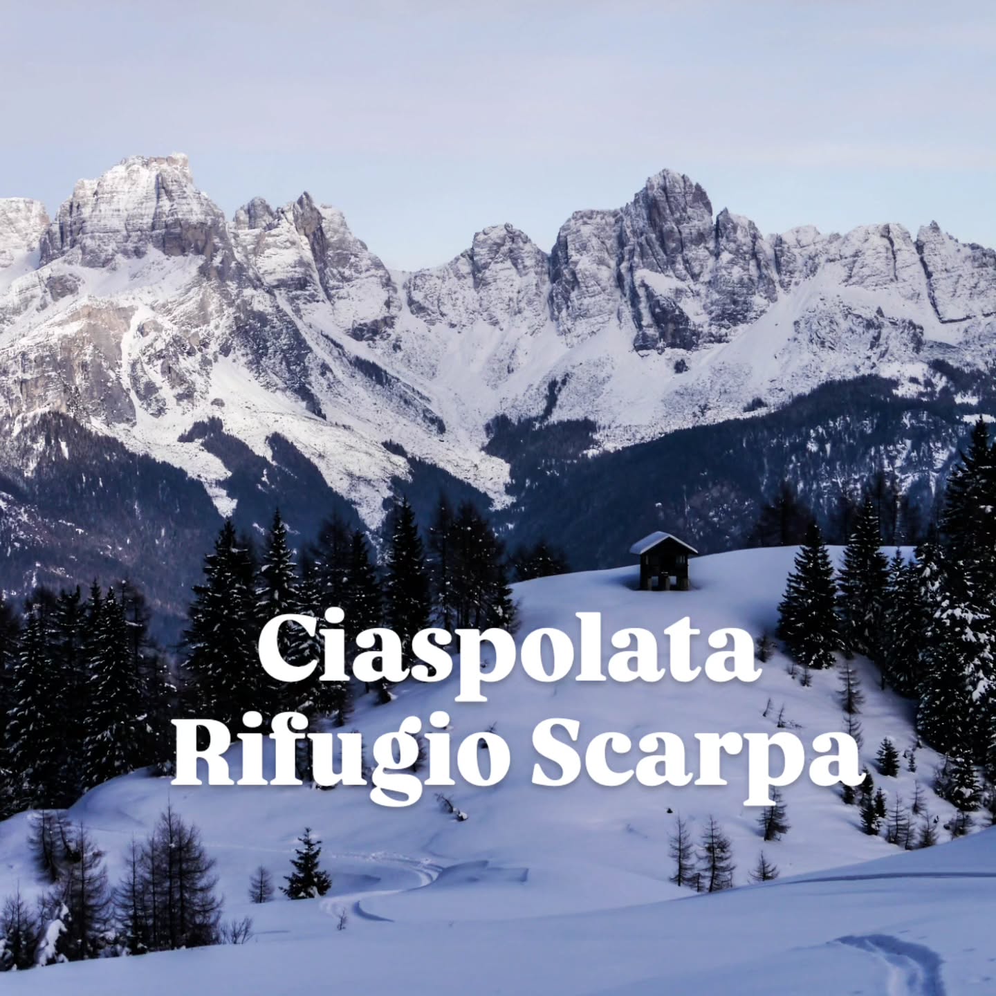 CIASPOLATA AL RIFUGIO SCARPA - le escursioni del sabato 🏔️
Questa ciaspolata è abbastanza famosa, per 3 motivi: difficoltà medio-facile, generalmente sicura, rifugio aperto anche d'inverno. È una ciaspolata molto bella, che porta a conoscere una zona delle Dolomiti lontana dai flussi turistici, un angolo nascosto e meraviglioso: l'Agner, i Monti del Sole, le dolomiti Bellunesi. L'unica pecca potrebbe essere ricercata nella bassa quota, che in questi ultimi inverni poco nevosi potrebbe farvi rinunciare alle ciaspole.
Si parte da Frassenè, circa 15 minuti da Agordo. Si attraversa il paese e si prende la strada forestale che sale a destra (torneremo da sinistra). La strada sale con dolci tornanti sotto alla seggiovia (una volta qui c'era una pista da sci, ormai dismessa), impossibile sbagliare. Se c'è poca neve consiglio i ramponcini, perché spesso è gelata. Nell'ultimo tratto, se vi rimane fiato, potete scegliere di salire direttamente sulla ex pista da sci, oppure di proseguire sulla comoda strada. Giunti al rifugio potete godervi la vista con una bella minestra calda!
Per il rientro potete percorrere un anello, se le condizioni neve sono stabili, altrimenti tornate sui vostri passi. Prendete il sentiero 773 verso passo Luna. Percorrerete un bel sentiero pianeggiante, parte nel bosco, parte con vista strepitosa. Al bivio successivo scendete a sinistra, verso malga Luna, sul sent. 773. Da qui una ripida strada forestale con molti tornanti vi riporta a Frassenè.
Si può percorrere questo itinerario al contrario.
Lunghezza: 12 km
Dislivello: 700 m
Tempo medio: 5/6 ore
DESCRIZIONE COMPLETA E TRACCIA GPX SUL MIO SITO (link in bio)
#rifugioscarpa #monteagner #agordino #dolomitibellunesi #ciaspolate