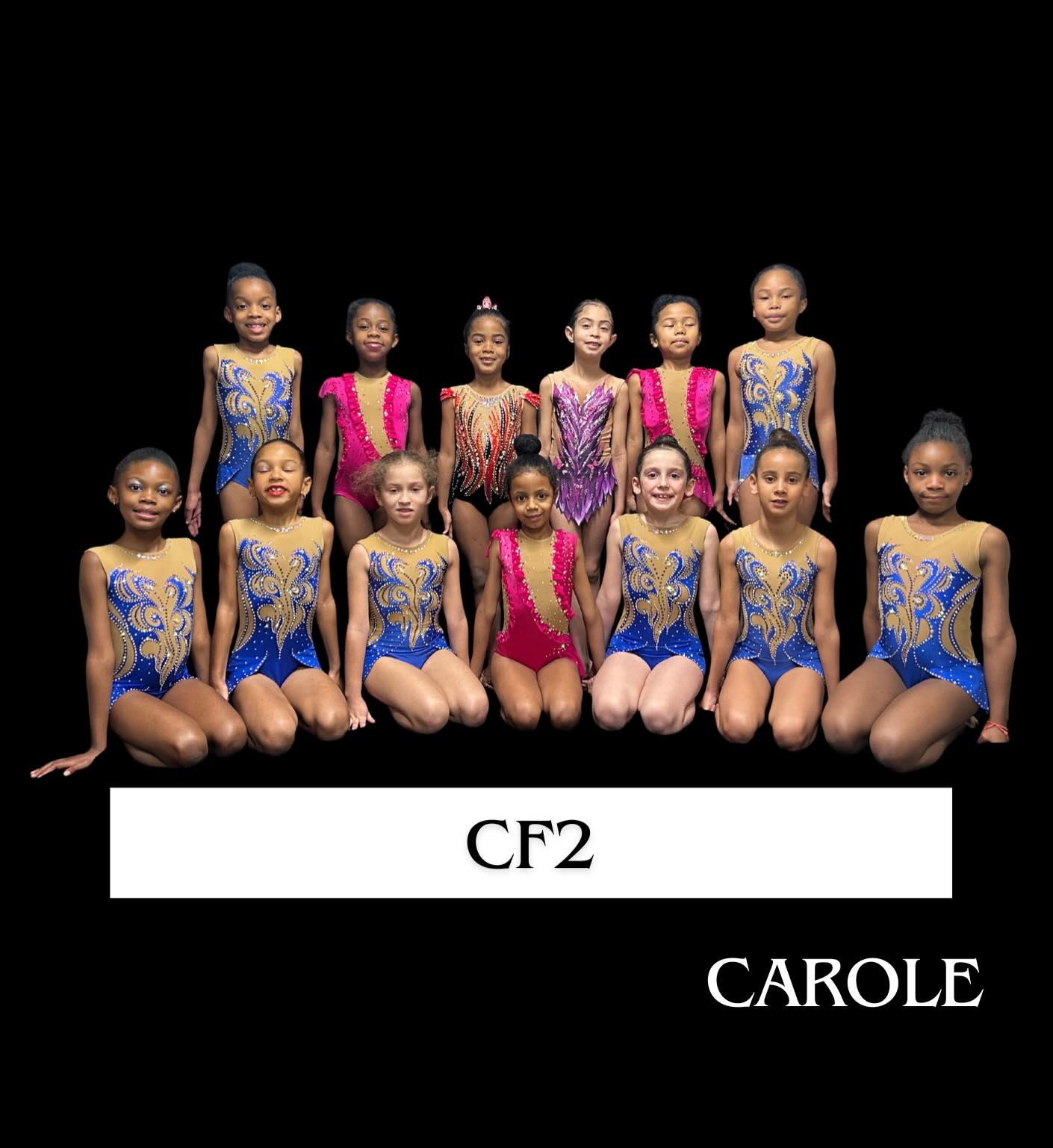 🏅 PRÉSENTATION DES ÉQUIPES – SAISON 2026 🏅
Mise à l’honneur de nos Coupes Formation !
Vous retrouverez nos :
🌸 CF2, composées de : Manon, Avana, Maéva, Marie-Mariam, Wassila, Zeyna, Jade, Nori, Keyna, Maelya, Leyxa, Téa et Sarah
🌸 CF3, composées de : Joy, Nina, Jasleen, Ioana, Laynisse et Lyhanne
🌸 CF4, composée de : Maïa