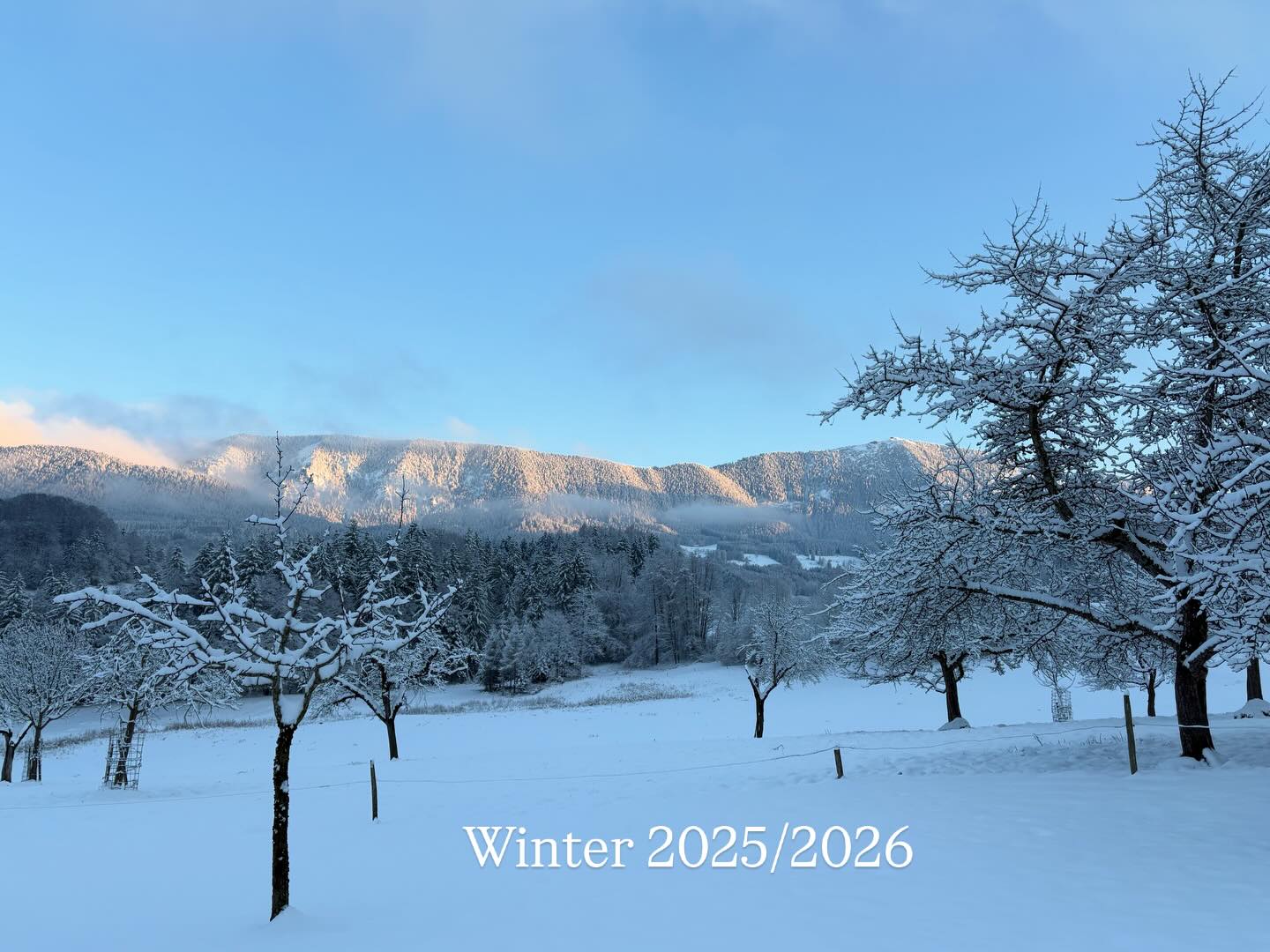 Wenn der Winter im Februar nochmal „Hallo“ sagt…
#winter #ferienwohnung #samerberg #weissnhof_samerberg #schnee