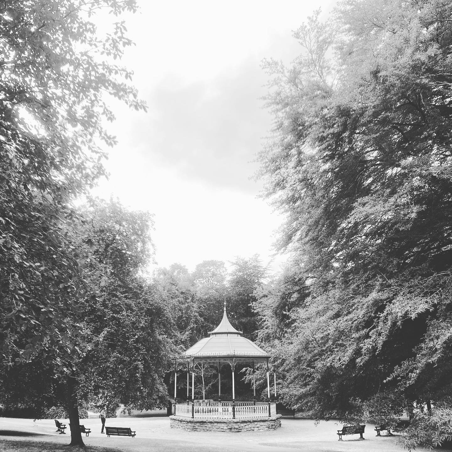 On Sunday afternoon this beautiful park will be filled with music from some of the North East’s most talented musicians and performers. 12-6pm, all completely free! Come on down! LINK IN BIO for more info #hexhambluegrassfestival #theselehexham #visitnorthumberland #whatsonhexham #bluegrass #banjo #mandolin #flatpicking #fiddle #doublebass #hexhamcourant #hexham