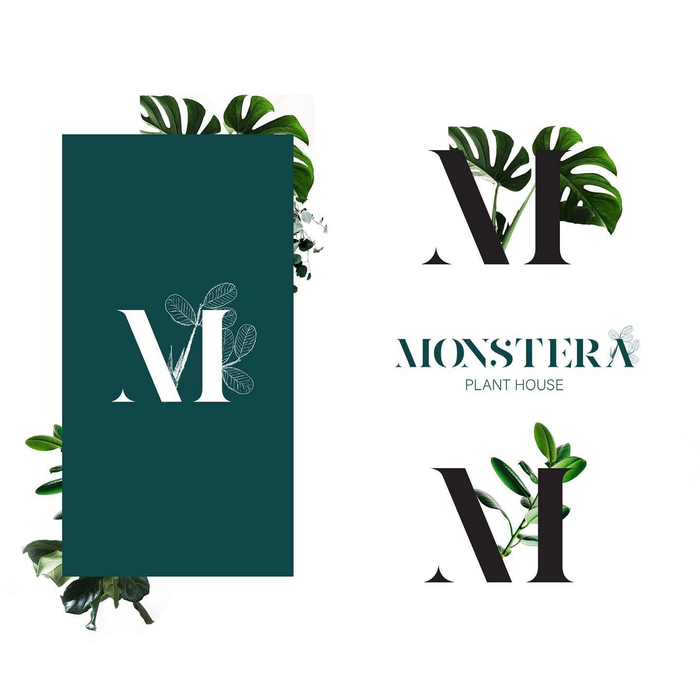 Brand Development for @monstera.planthouse
Like the work you see?
If you’re looking for a brand tuneup DM us!
#brand #brandingdesign #brandambassador #branding #logodesigner #logo #designinspiration #graphicdesign #brandidentity