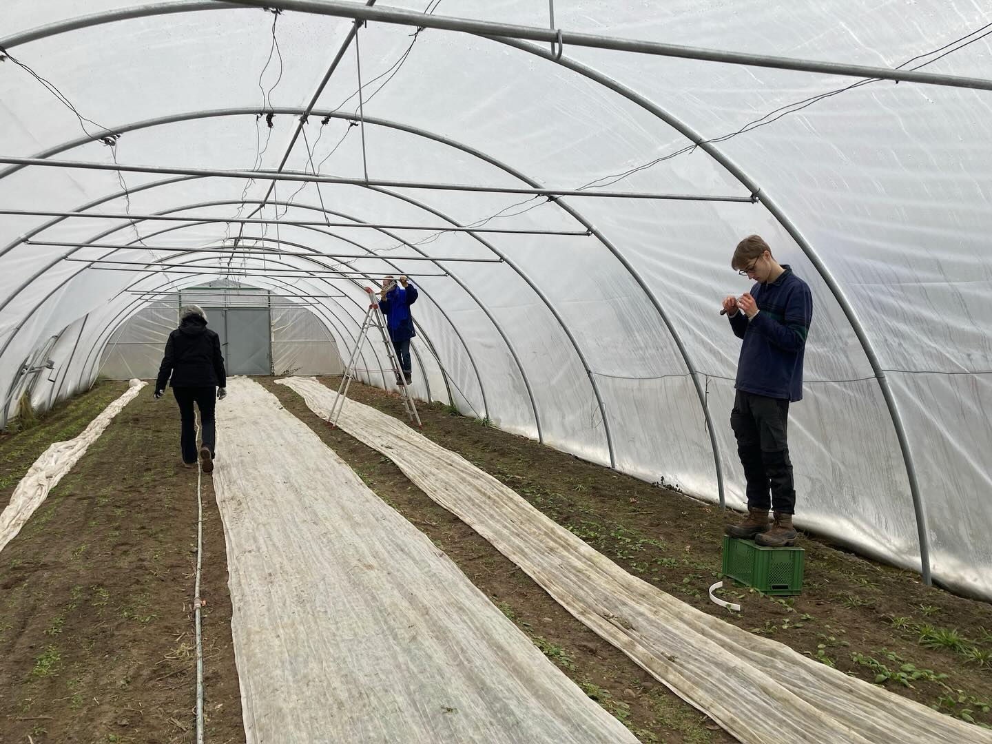 Ein großes Dankeschön an Silke, Andrea und Daniel für die Installation der Querstreben in unserem Folientunnel letzte Woche! Mögen sie viele Erntezeiten lang halten. #Tomaten #Gurken #ehrenamt #solawi #leckeresgemüse