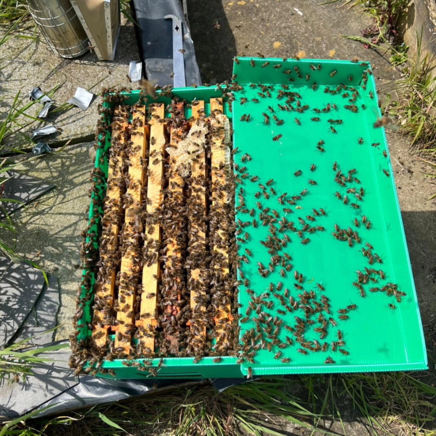 Today's the day our overwintered nucleus of bees start to head to their new homes. We're super happy how strong there are and they're ready for the season ahead.
We've got a few left so just drop us a line if you need one.
#beesforsale #Yorkshirebees #derwenthoney #bees #honey #yorksmallbusiness #spring #ukbeesforsale #york