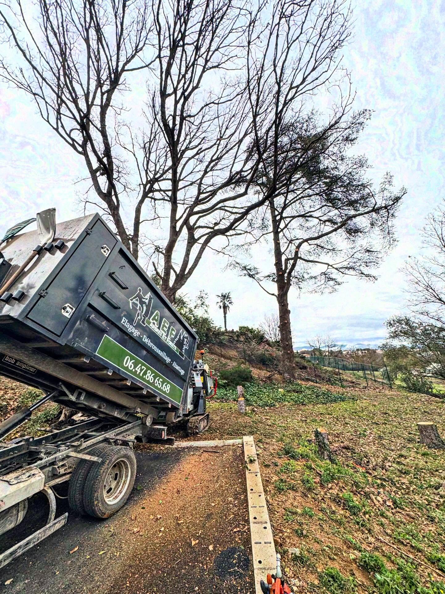 Taille sanitaire de ce magnifique cèdres !!!
Au programme :
-Purge de bois morts
-Taille d’éclaircie légère
-Remontée de couronne
-Broyage des branches sur place
Cela reste toujours un réel plaisir d’intervenir sur des arbres aussi majestueux
#treework #treeclimbing #elagueur #elagage @schliesing_worldwide @laurentastierschliesing @denisdelacorte