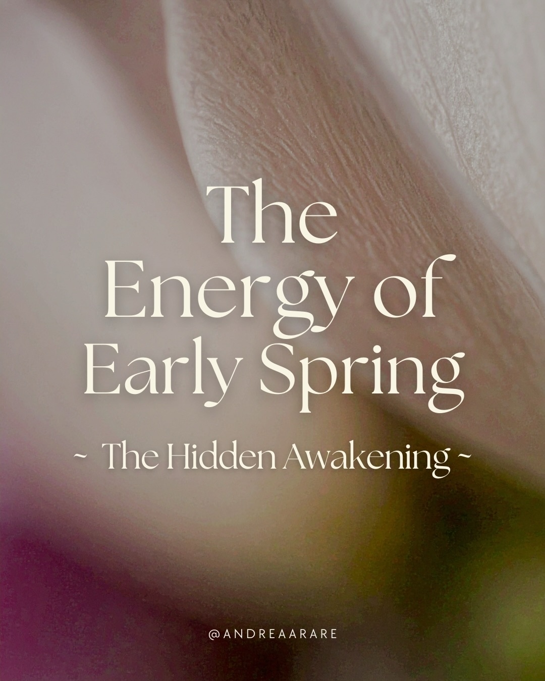 As the Earth begins to stir from winter’s stillness, early spring brings a shift in energy, one of renewal, hope, and growth. 🌼
The days grow longer, life returns, and we feel a deep urge to awaken from our own inner hibernation. This is a sacred time to plant new seeds, both physically and spiritually.
Early spring is a powerful season of transformation:
🌱 New Beginnings: Just as plants begin to sprout, we feel inspired to start fresh.
🌿 Balance of Light & Dark: As we approach the Spring Equinox, day and night come into harmony.
💛 Awakening Energy: Our bodies, minds, and spirits start to emerge from winter’s introspection into action.
🌷 Fertility & Creativity: Life-force energy is rising, encouraging us to create, explore, and express ourselves.
This is the perfect time to embrace change, set intentions, and take inspired action!
Swipe ➡️ to learn more about this hidden awakening! ✨
#spring #wheeloftheyear #cyclicalliving