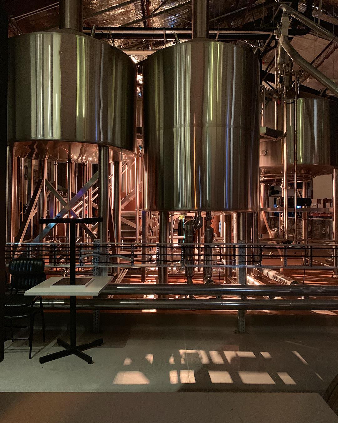 💡’s on @parrotdogbeer 1st birthday🍺 being brewed.