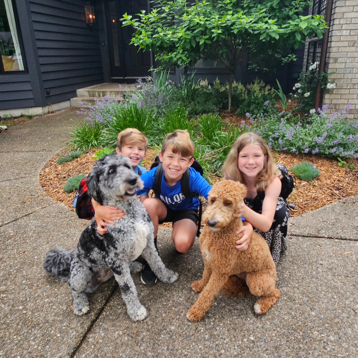 That is a wrap on second and third grade! ❤️❤️❤️ I'm excited to spend the summer with these crazy five! I have decided to do a social media free summer so I can soak up all the fun moments with the kids. They are growing up so fast! If you have a project in mind you would like help with, you can fill out our inquiry form on our website! Our next available project start is in September. Have a great summer, everyone. See you in the fall!
https://www.cassieklassenhome.com/connect